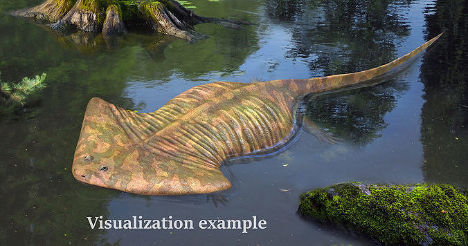 Diplocaulus magnicornis 3D model | CGTrader
