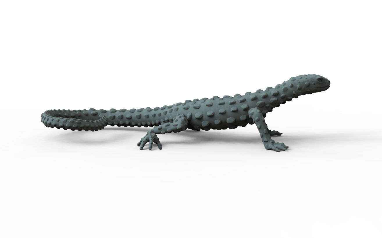 LIZARD golden 3D model 3D printable | CGTrader