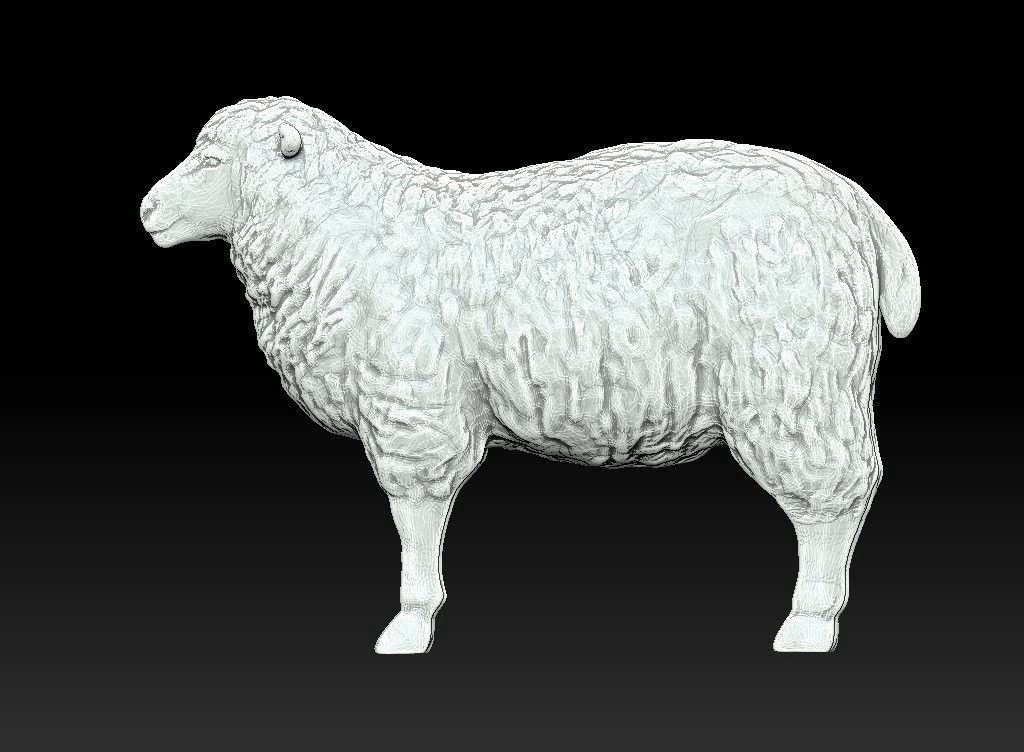 3D printable model sheep animals | CGTrader