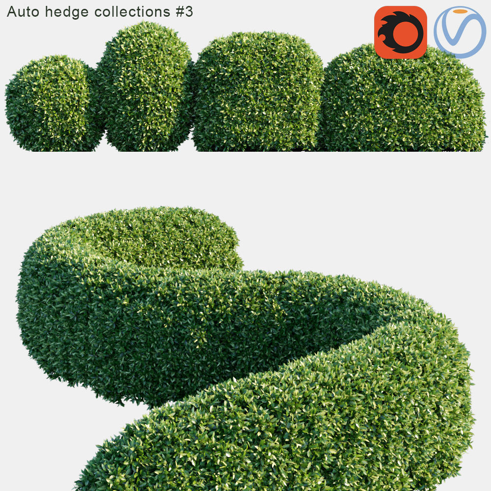 Auto hedge collections 3