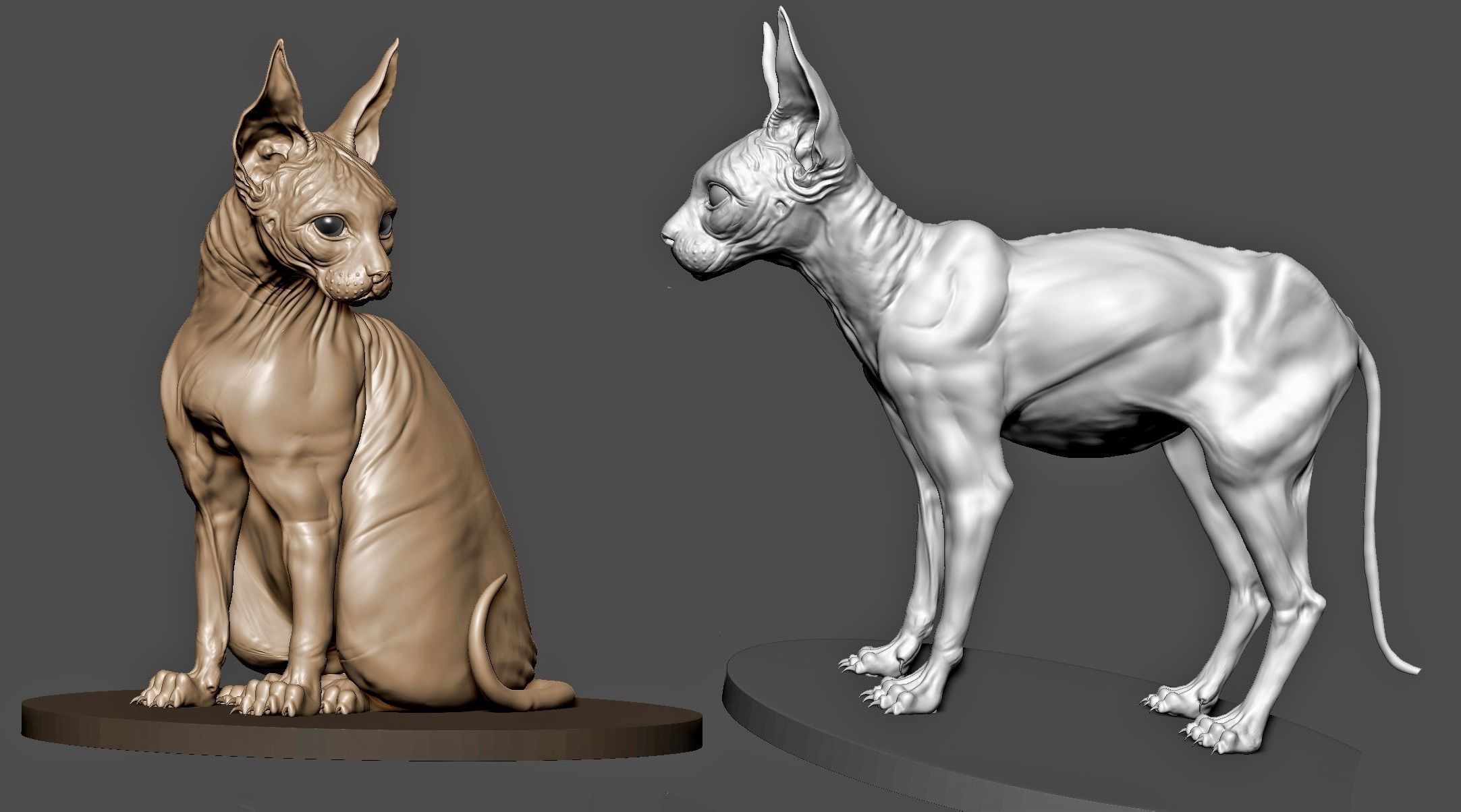 Sphinx Cat