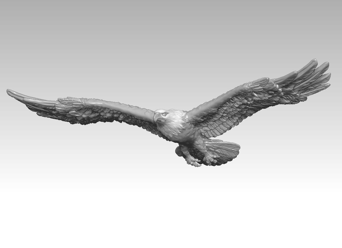 Bald eagle-3D print model