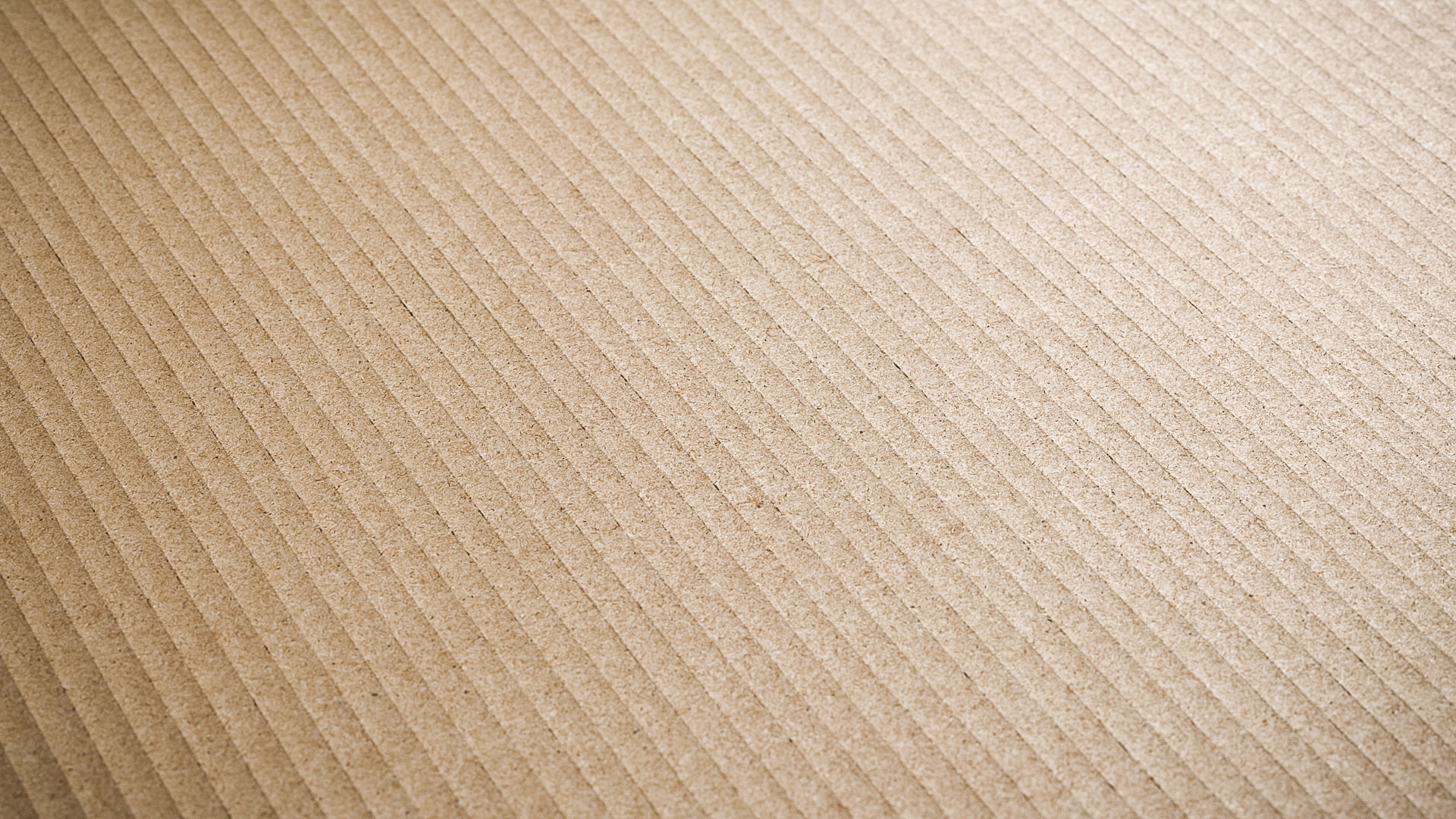 Cardboard Box Texture Texture MAX OBJ FBX