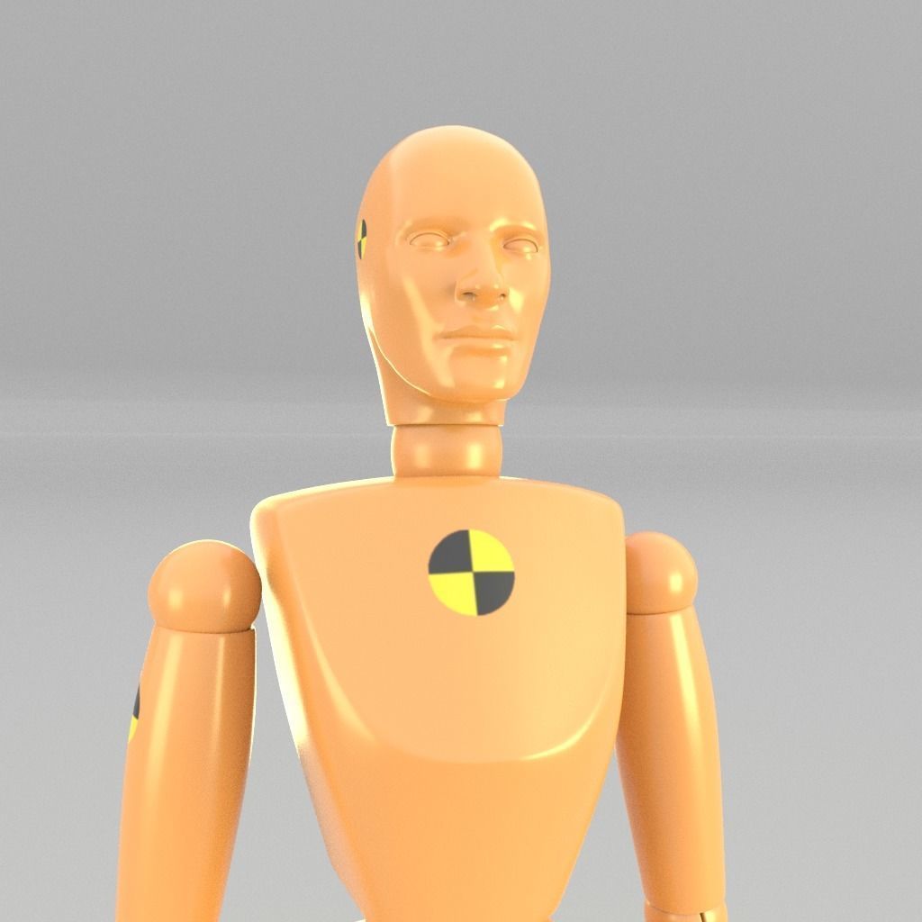 Crash Test Dummy Model 3D model rigged CGTrader