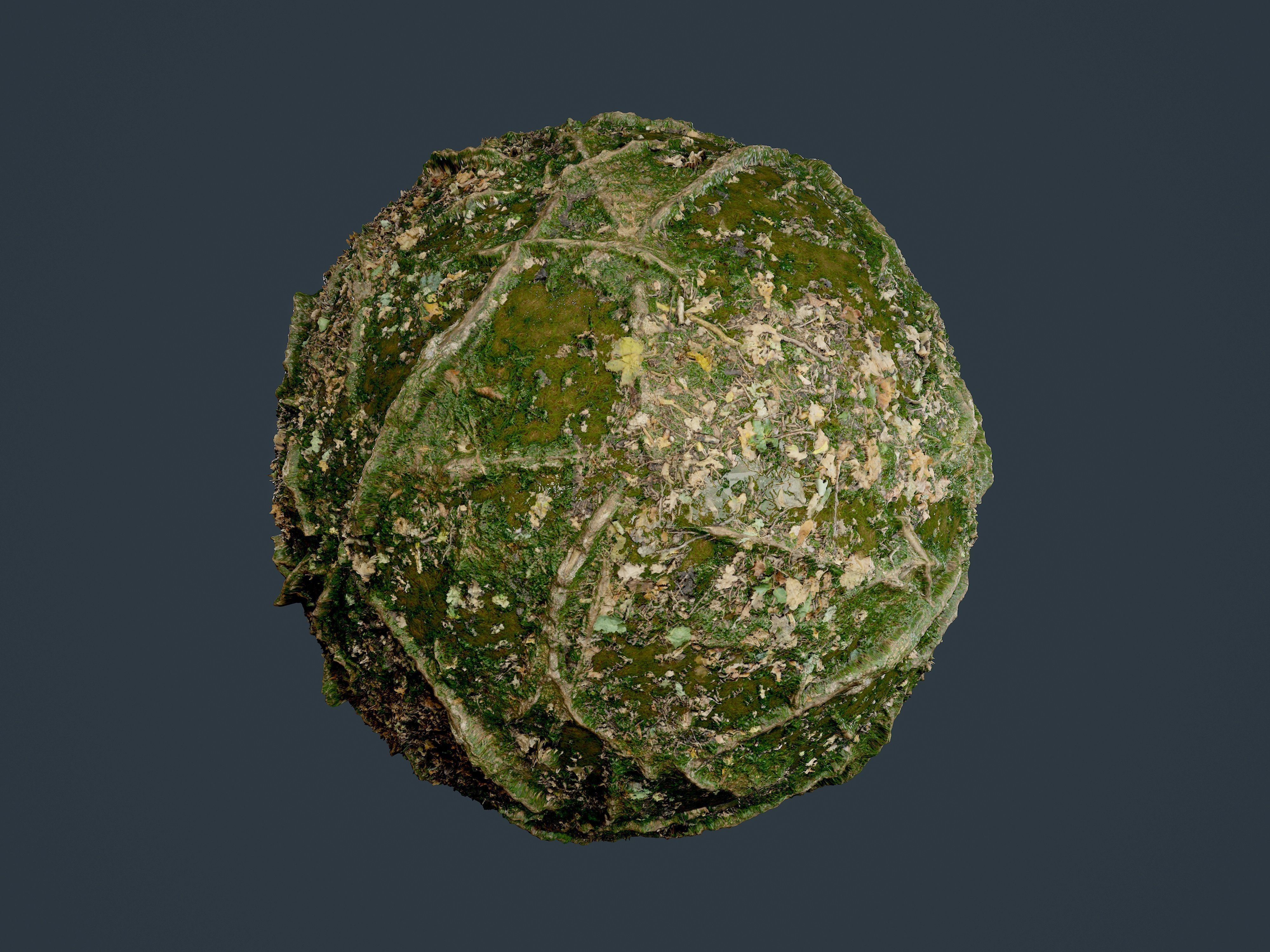 Forest Ground Seamless PBR Texture 04 Texture