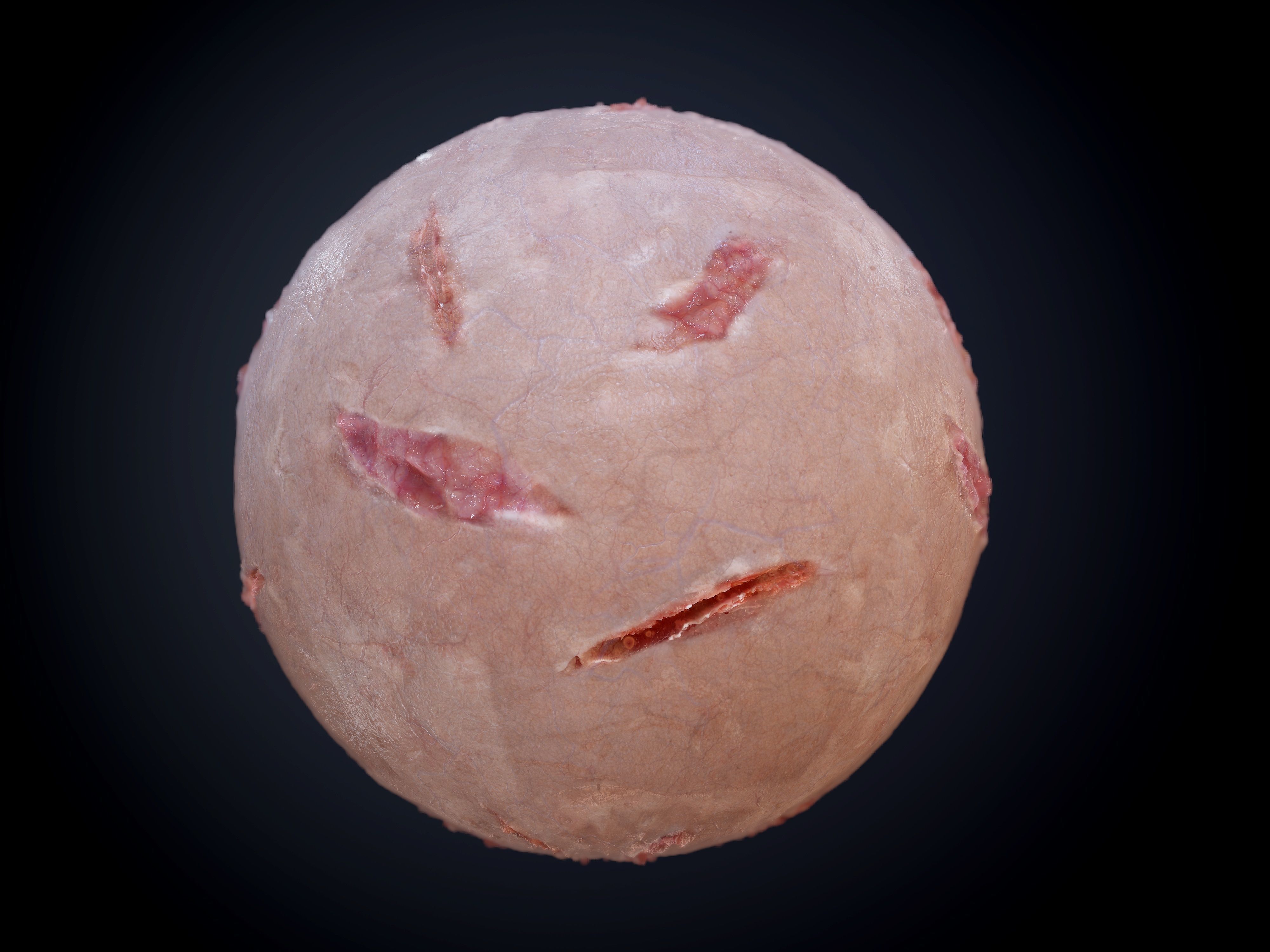 3D Gore Blood Guts Skin Cuts Seamless PBR Texture 08
