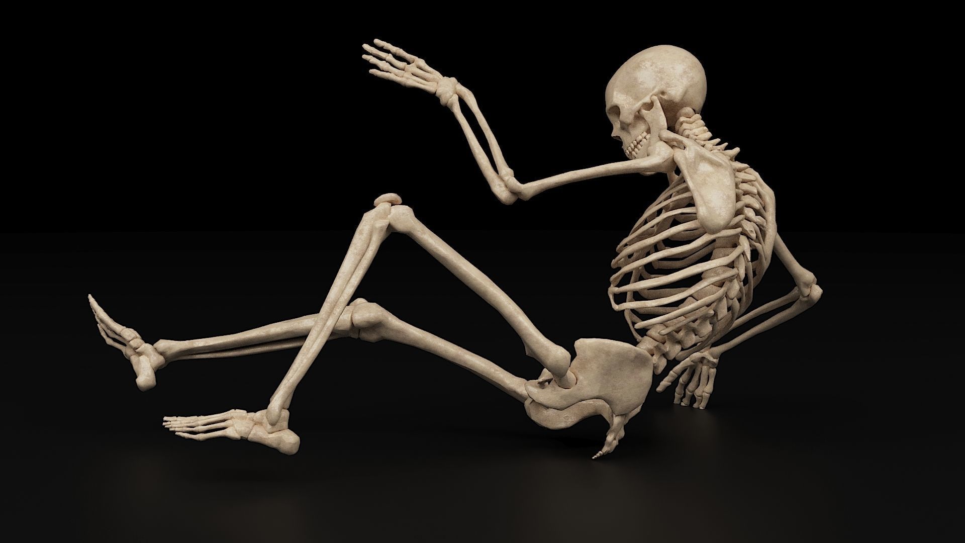 Human Skeleton Low-poly  3D model