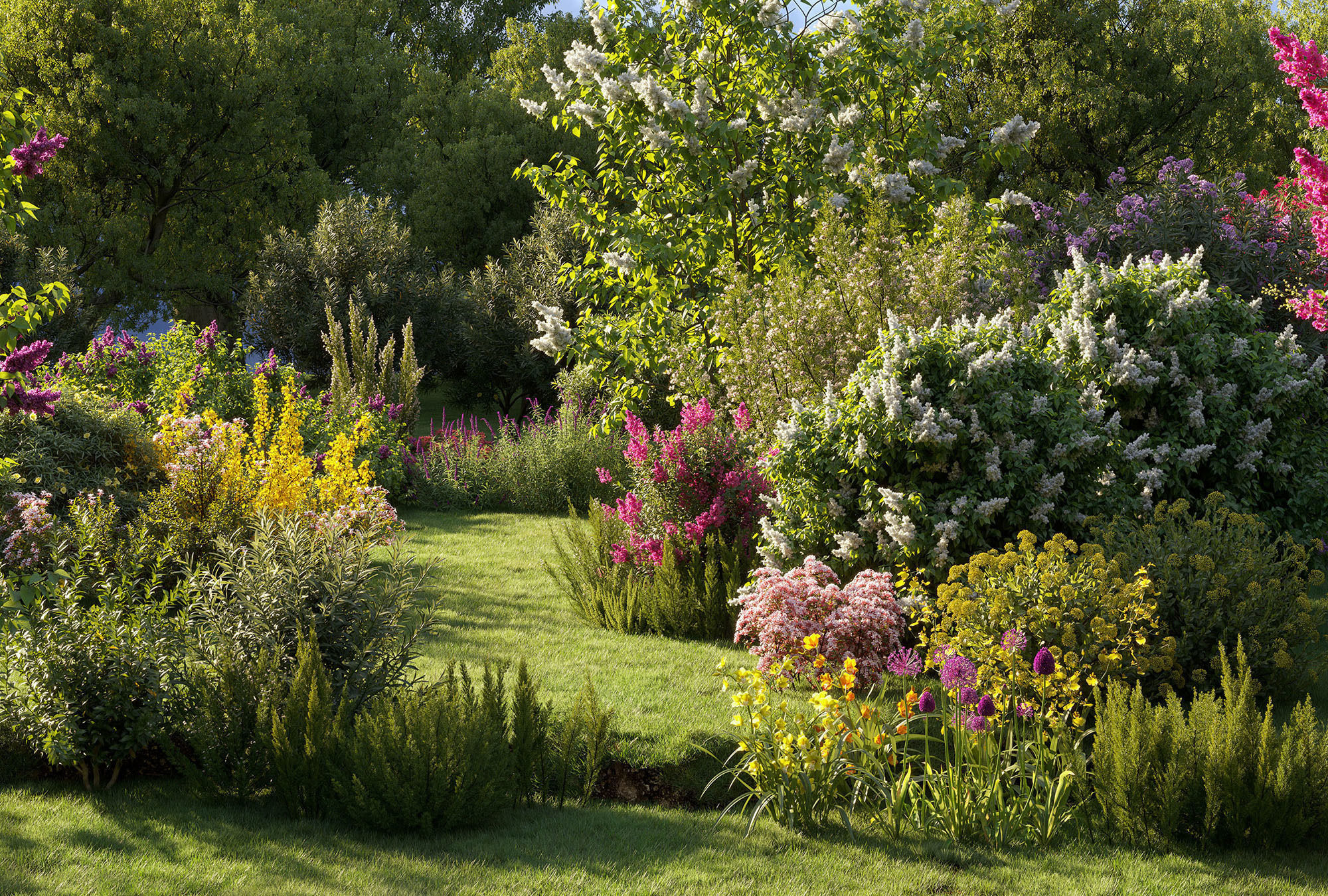 Flower Shrub models collection by Maxtree Vol33