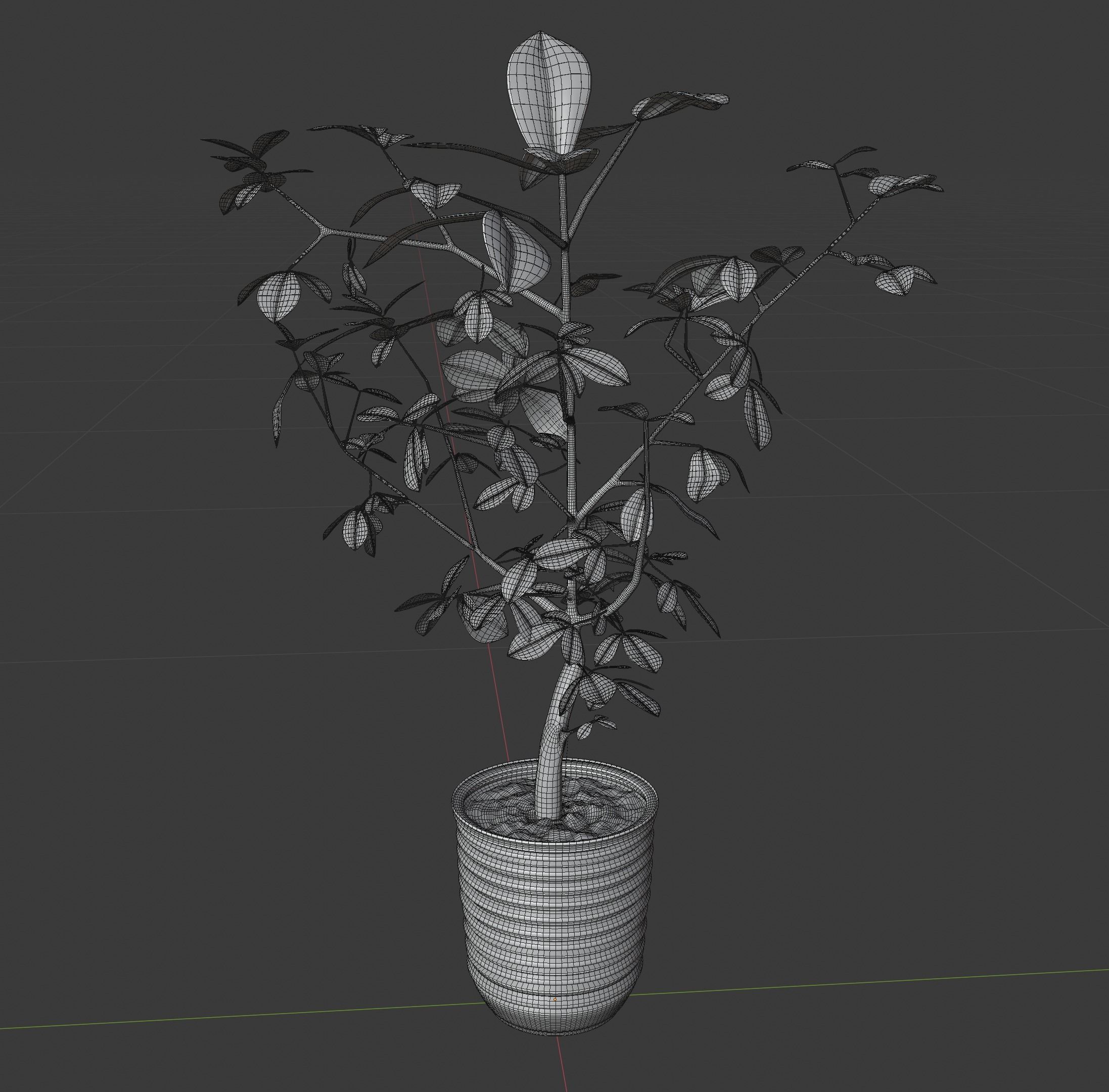 fig tree 3D model | CGTrader