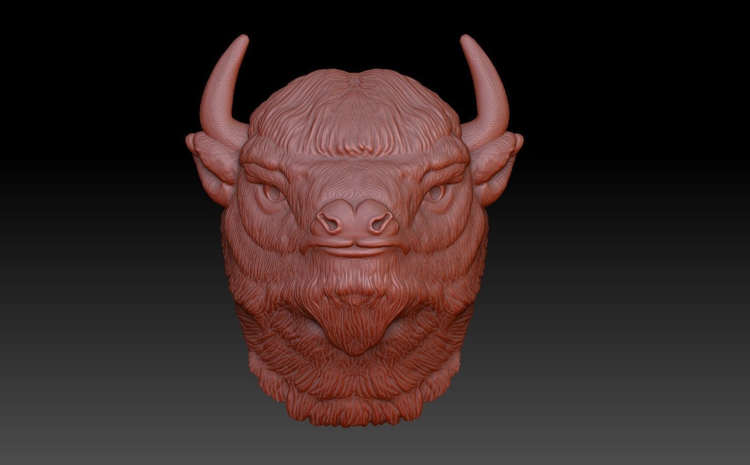 the head of a Buffalo