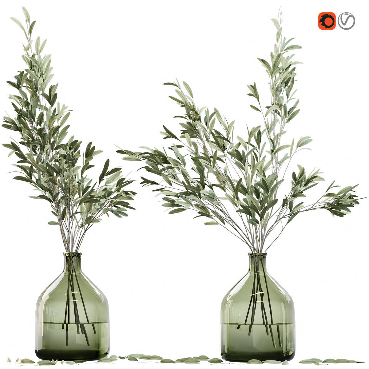 Olive stems in glass vase with water