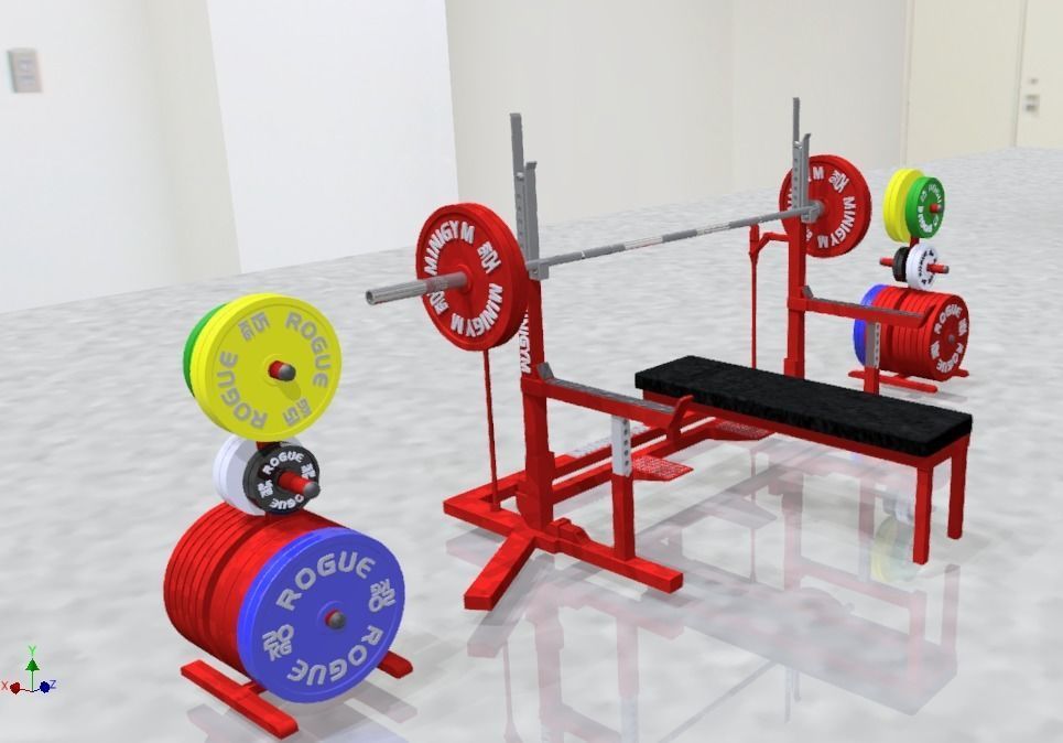 MiniGym
