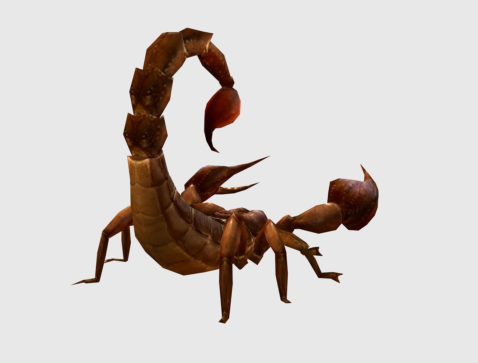 3D model animated scorpion VR / AR / low-poly rigged animated | CGTrader