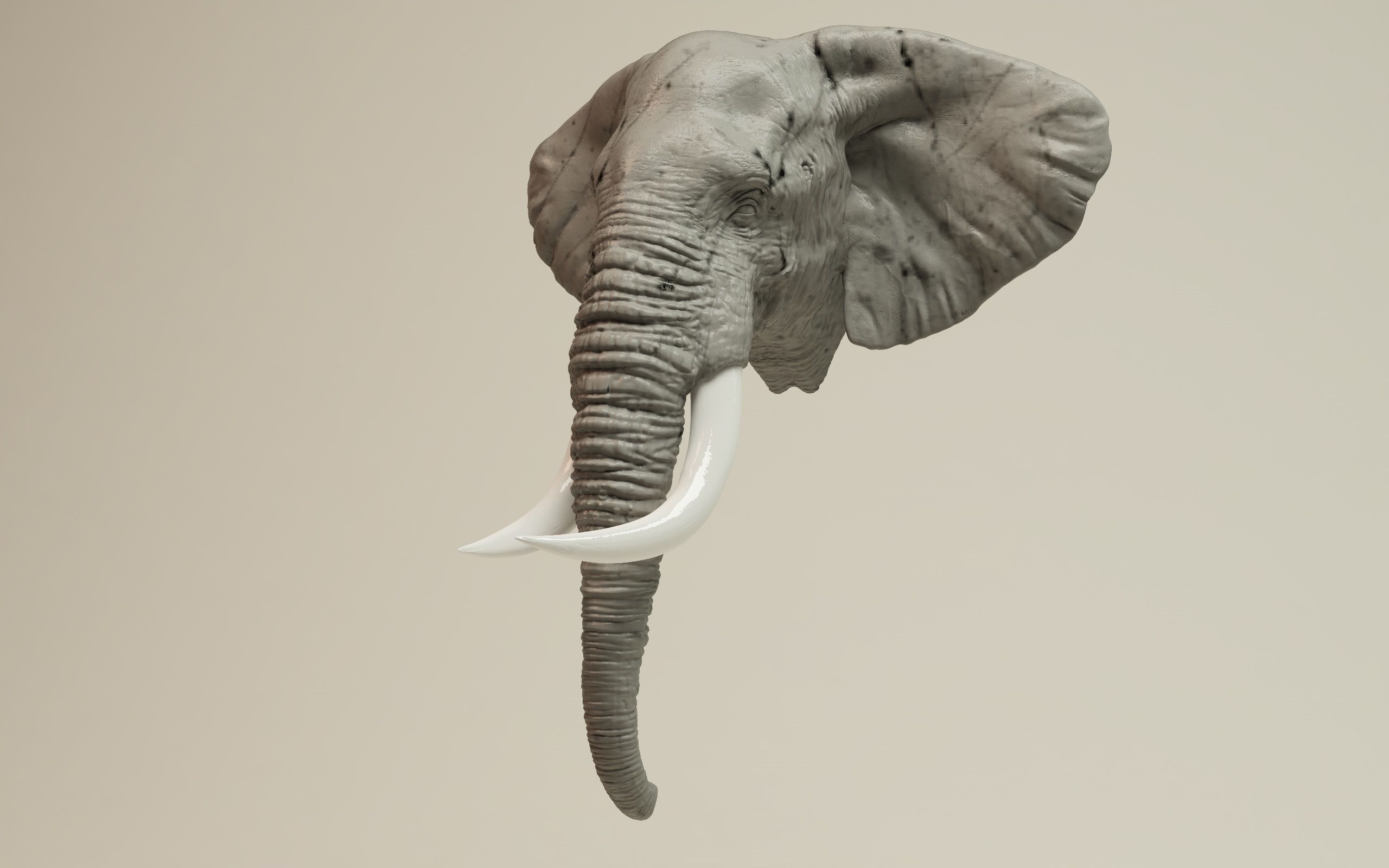Elephant Head 3D model 3D printable | CGTrader