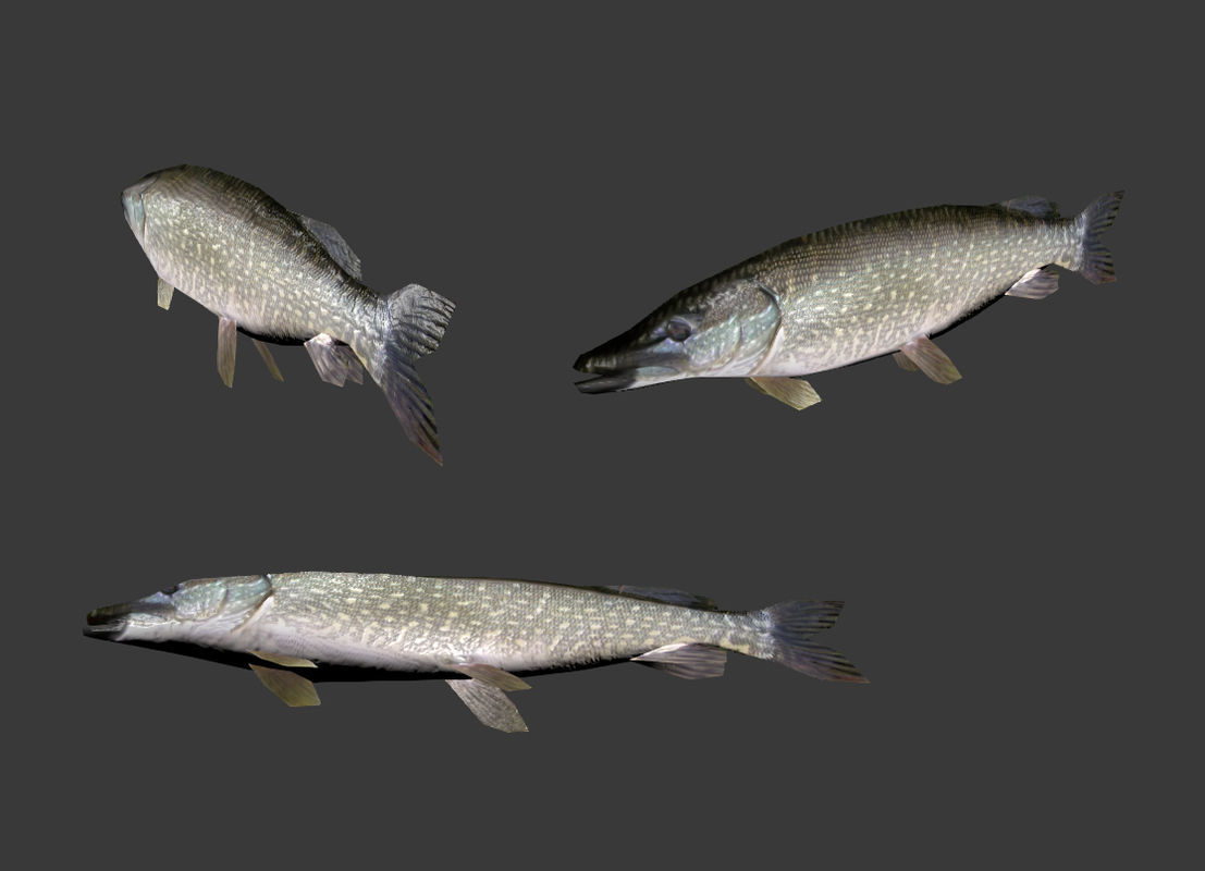 Next Gen AAA Pike fish - game ready lowpoly