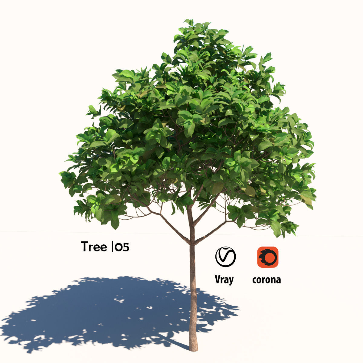 Tree collection 05 3D model