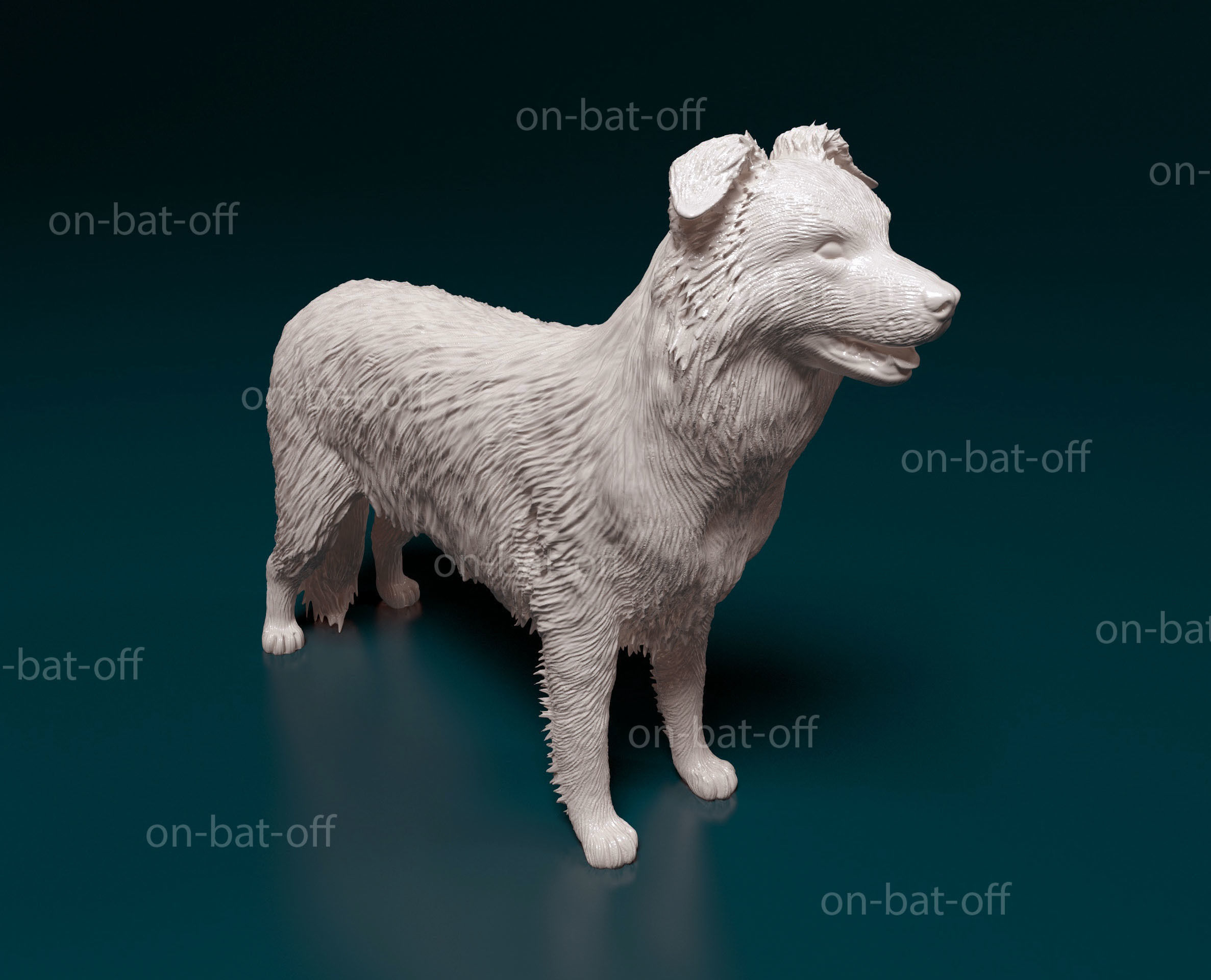 Border collie