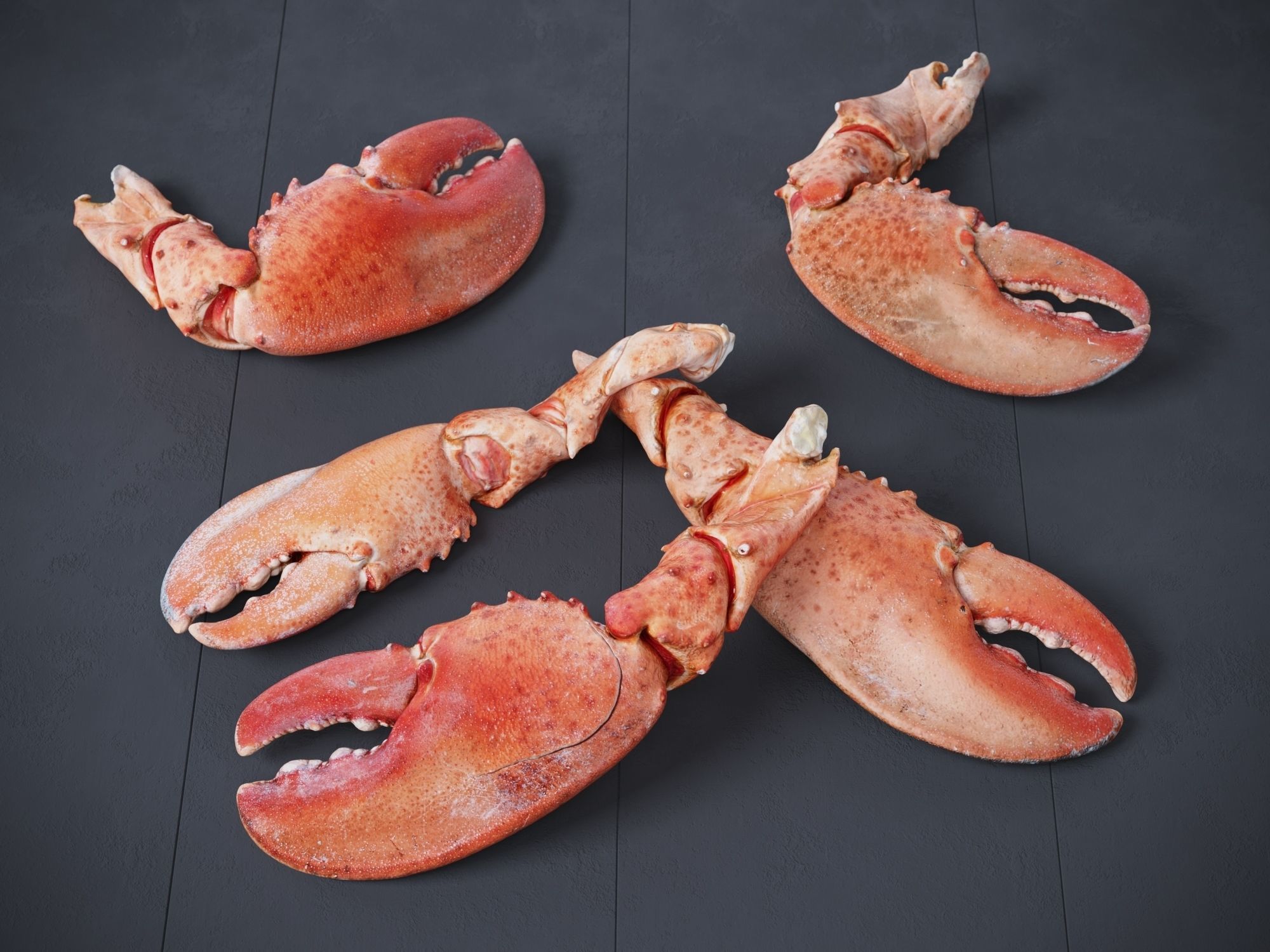 Lobster Claws Cooked 3D model CGTrader