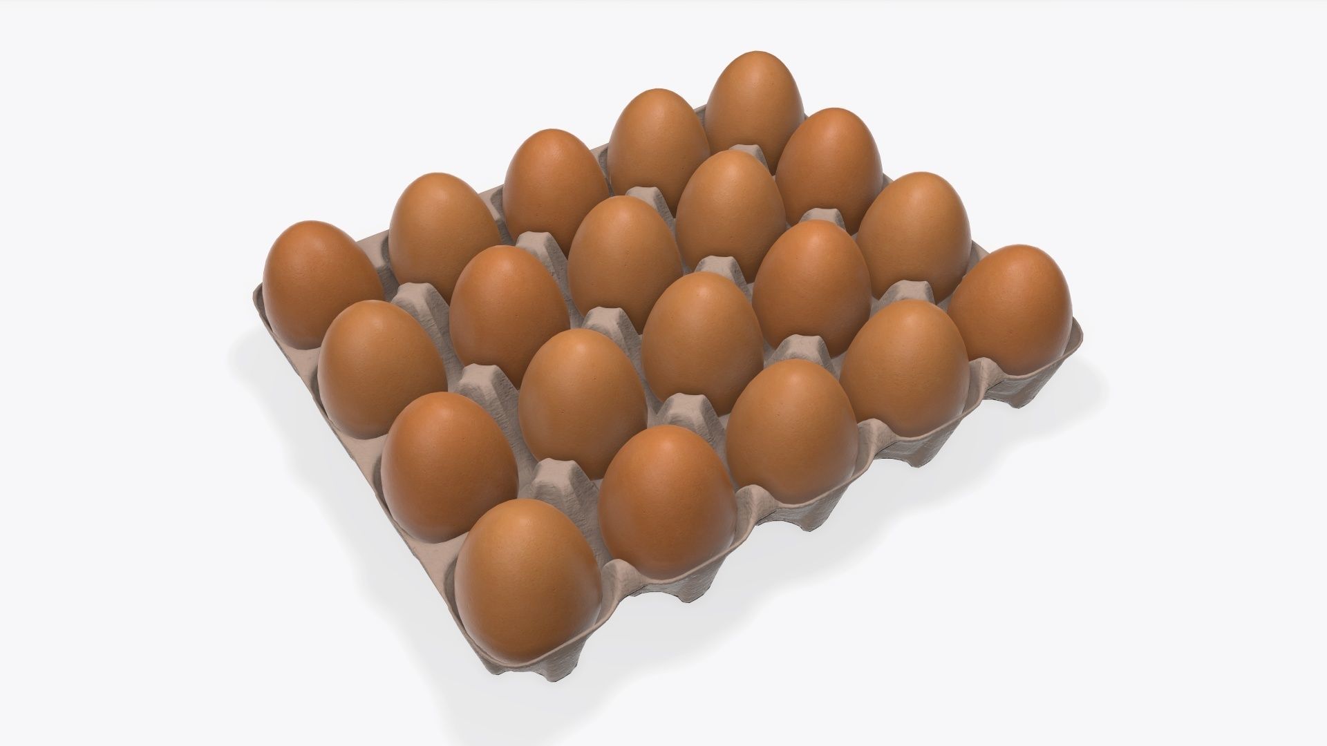 Egg paper cardboard base for 20 eggs