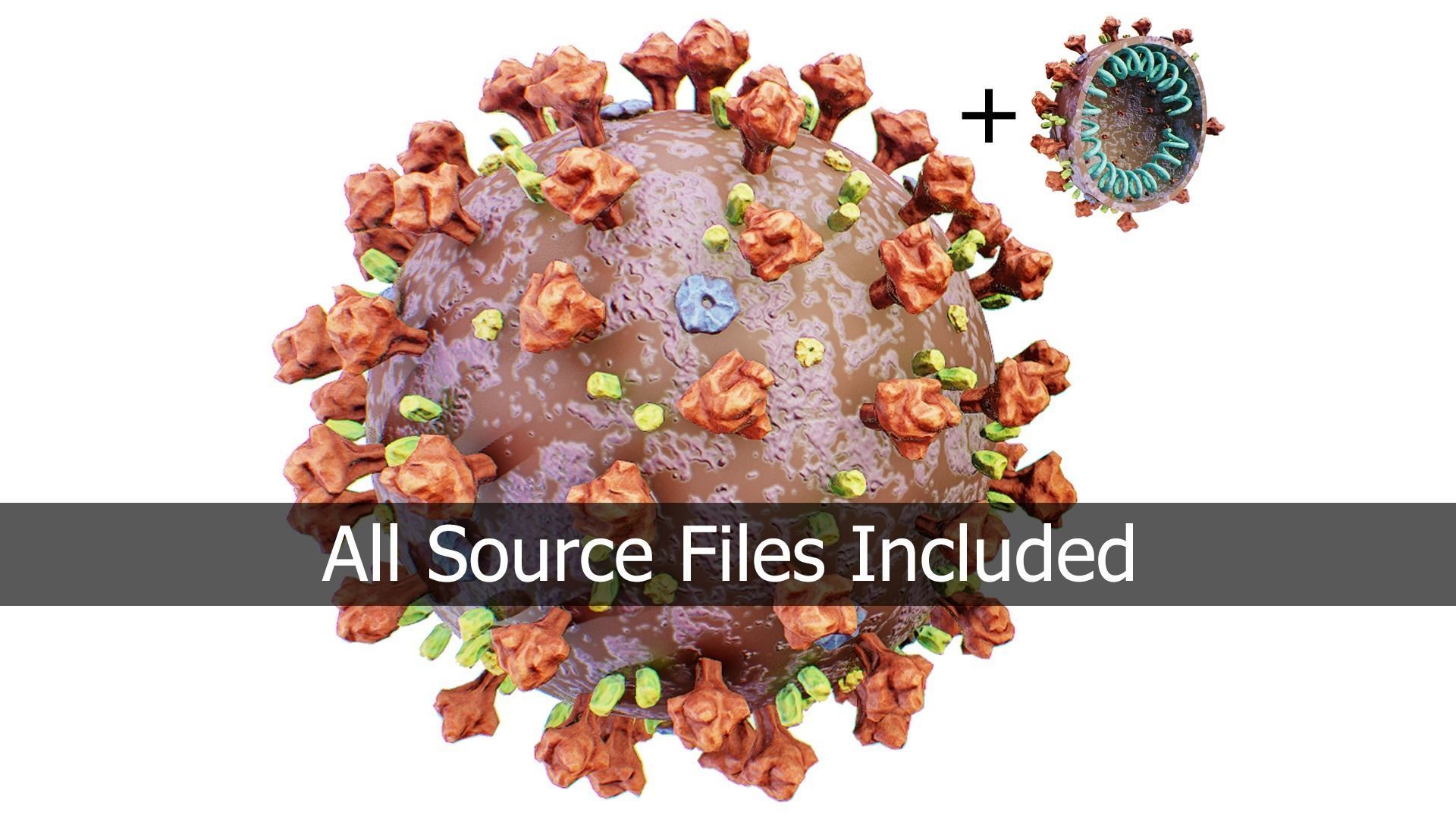 CoronaVirus COVID 19 Corona Virus SARS-CoV-2 nCoV with Source