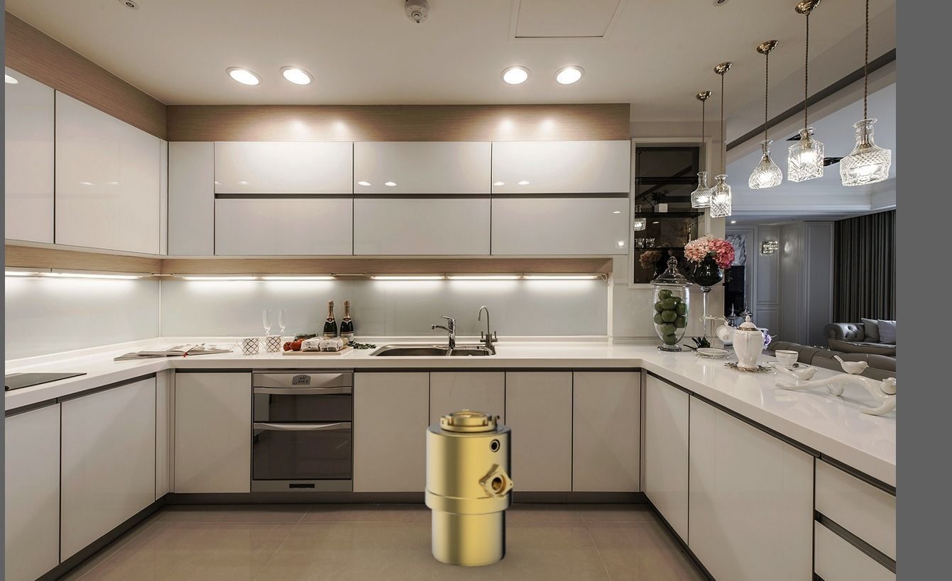 Kitchen waste processor