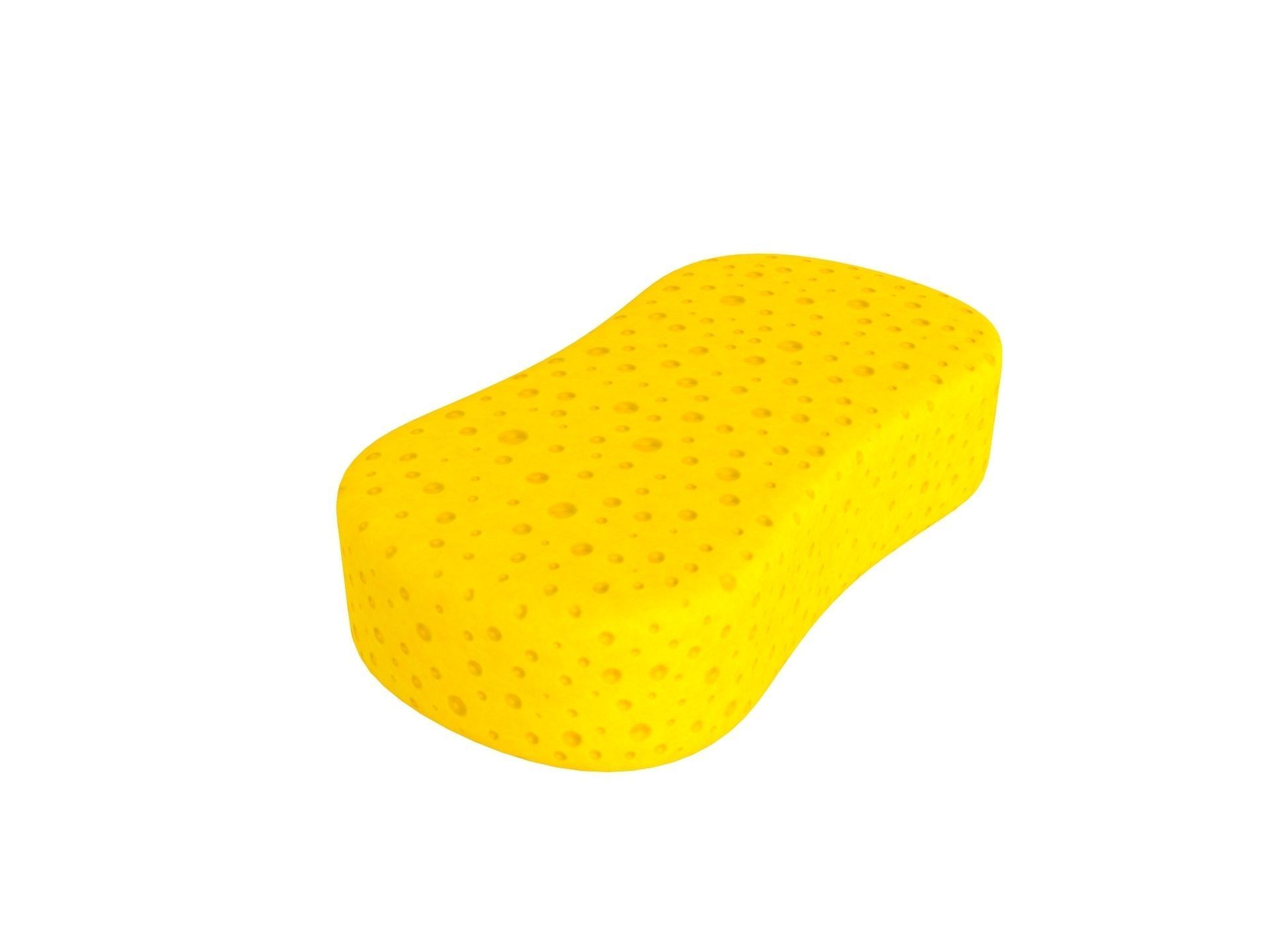 Sponge Polyex 3D model Sponge VR / AR / low-poly | CGTrader