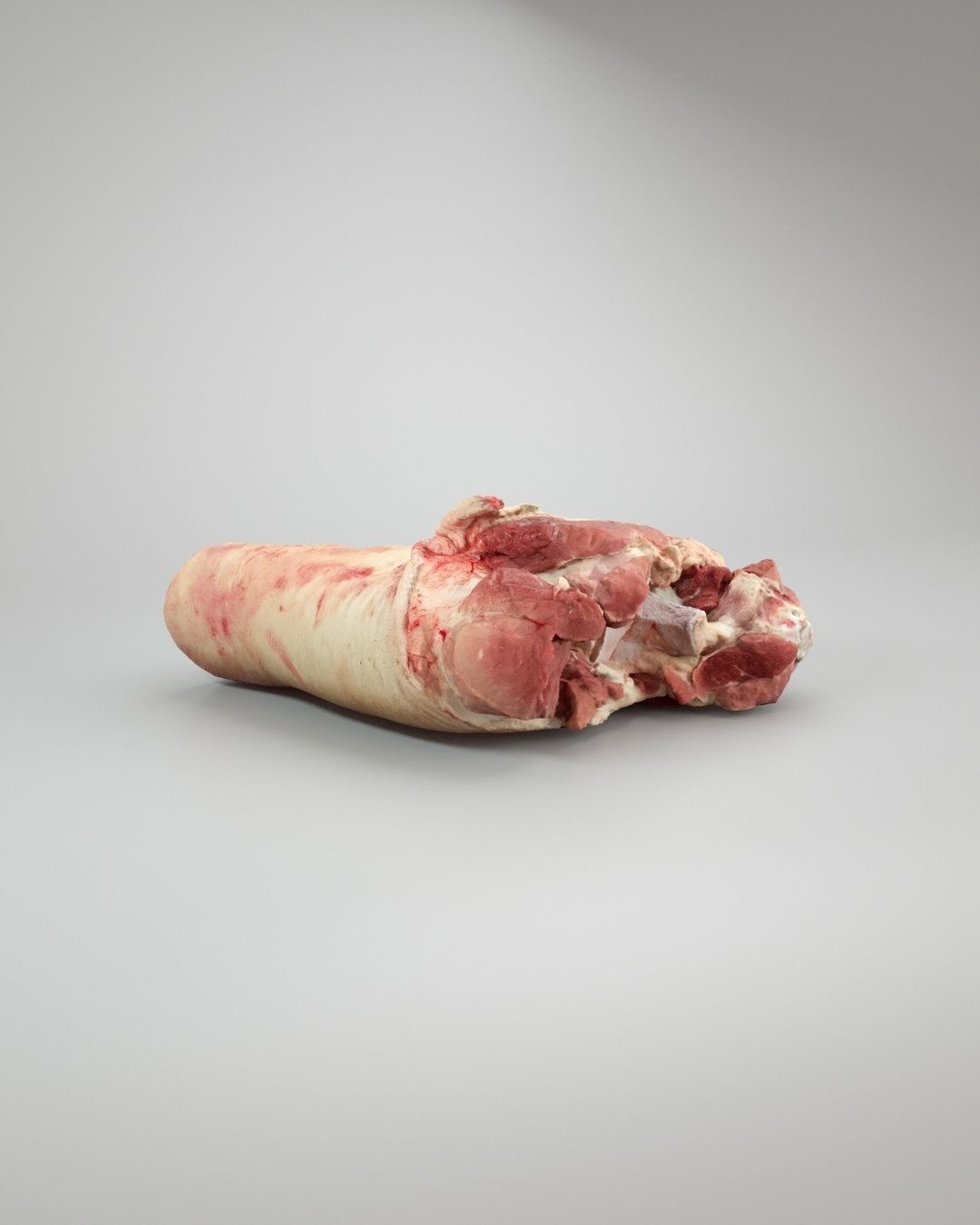Raw Pig Leg Part