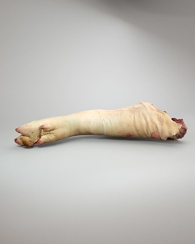 3D model Raw Pig Foot - 3D Scan VR / AR / low-poly | CGTrader