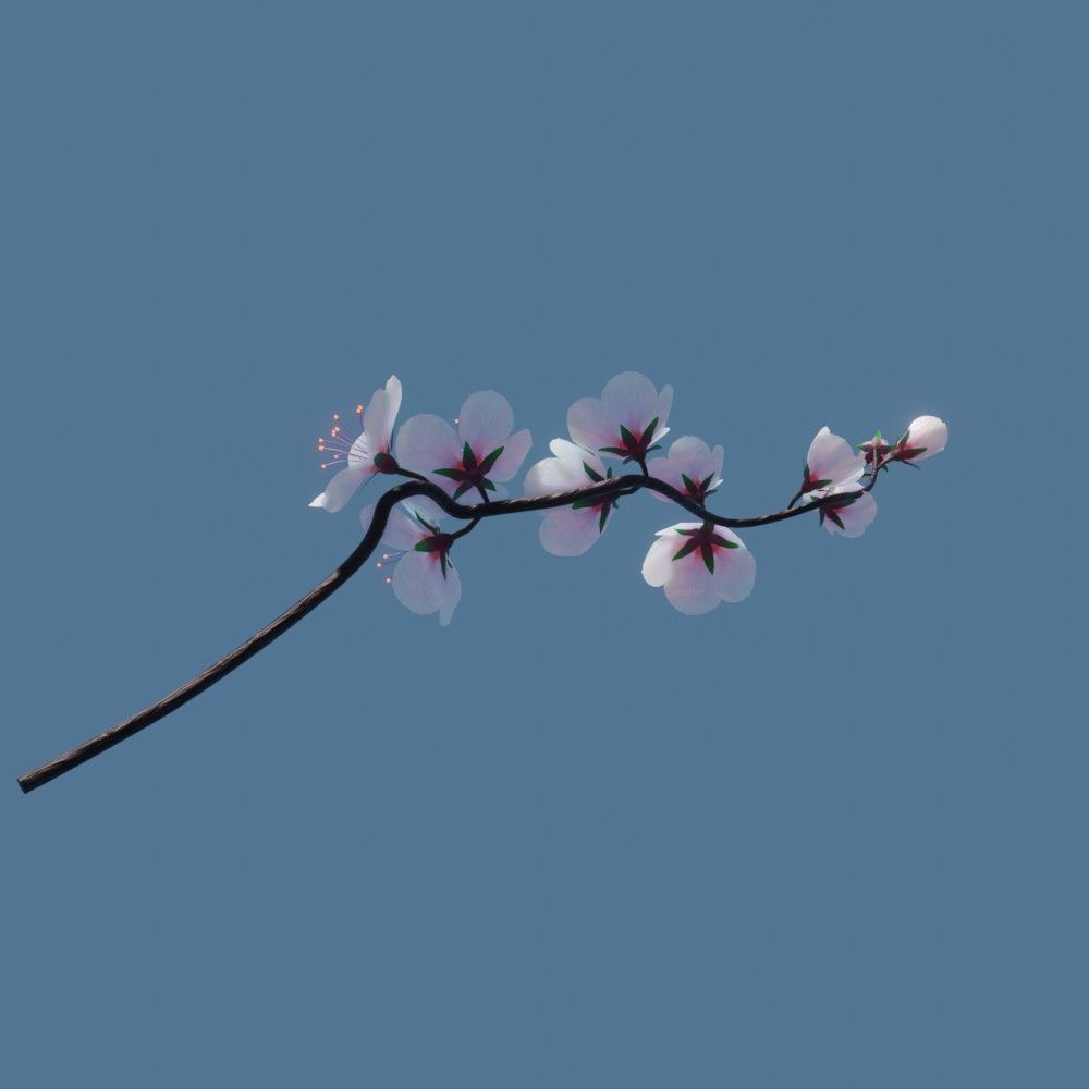 cherry blossom branch animation 3D model animated rigged | CGTrader