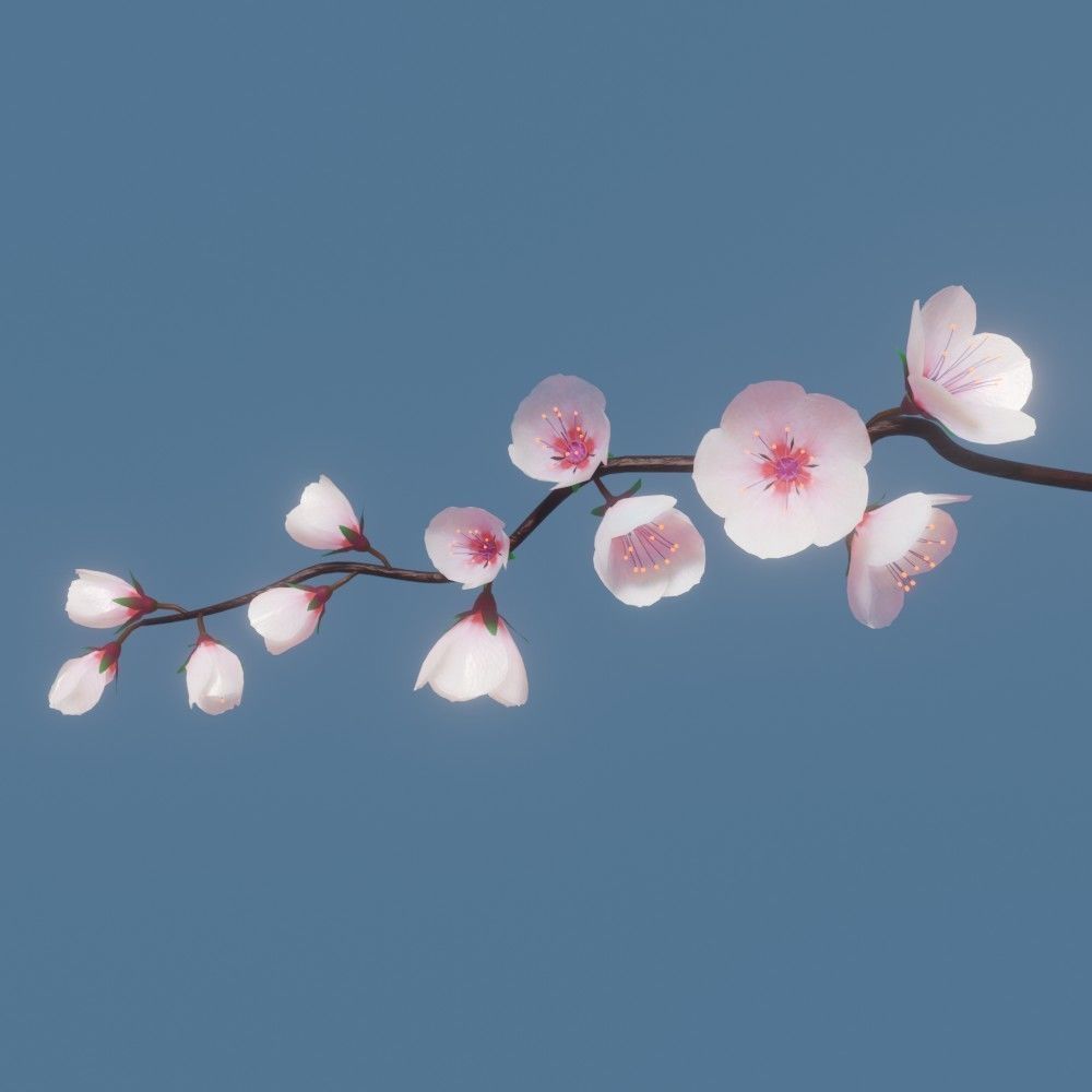 cherry blossom branch animation 3D model animated rigged | CGTrader