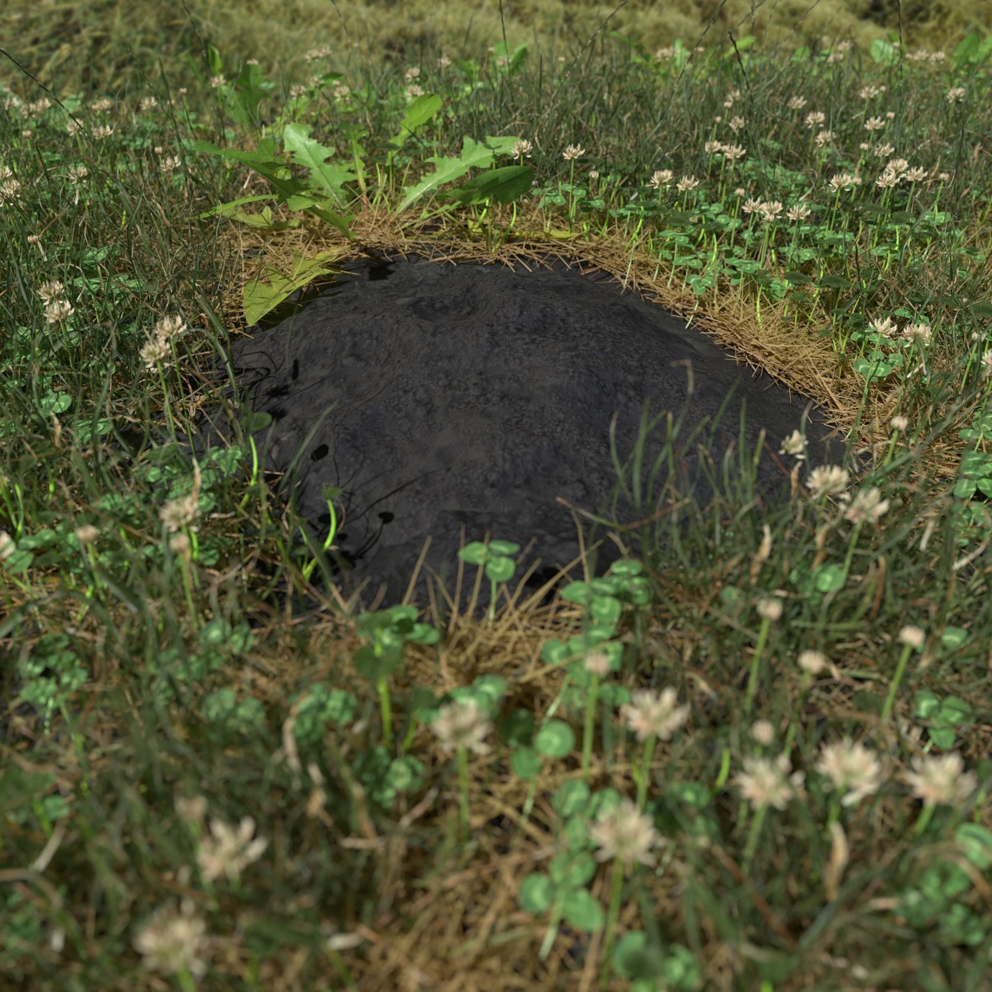 Mole Mound