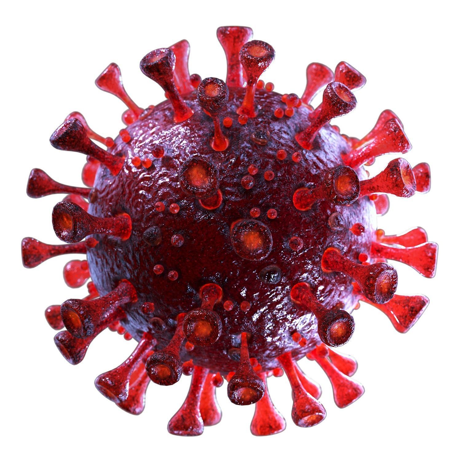 3D Coronavirus SARS-CoV-2 - Red