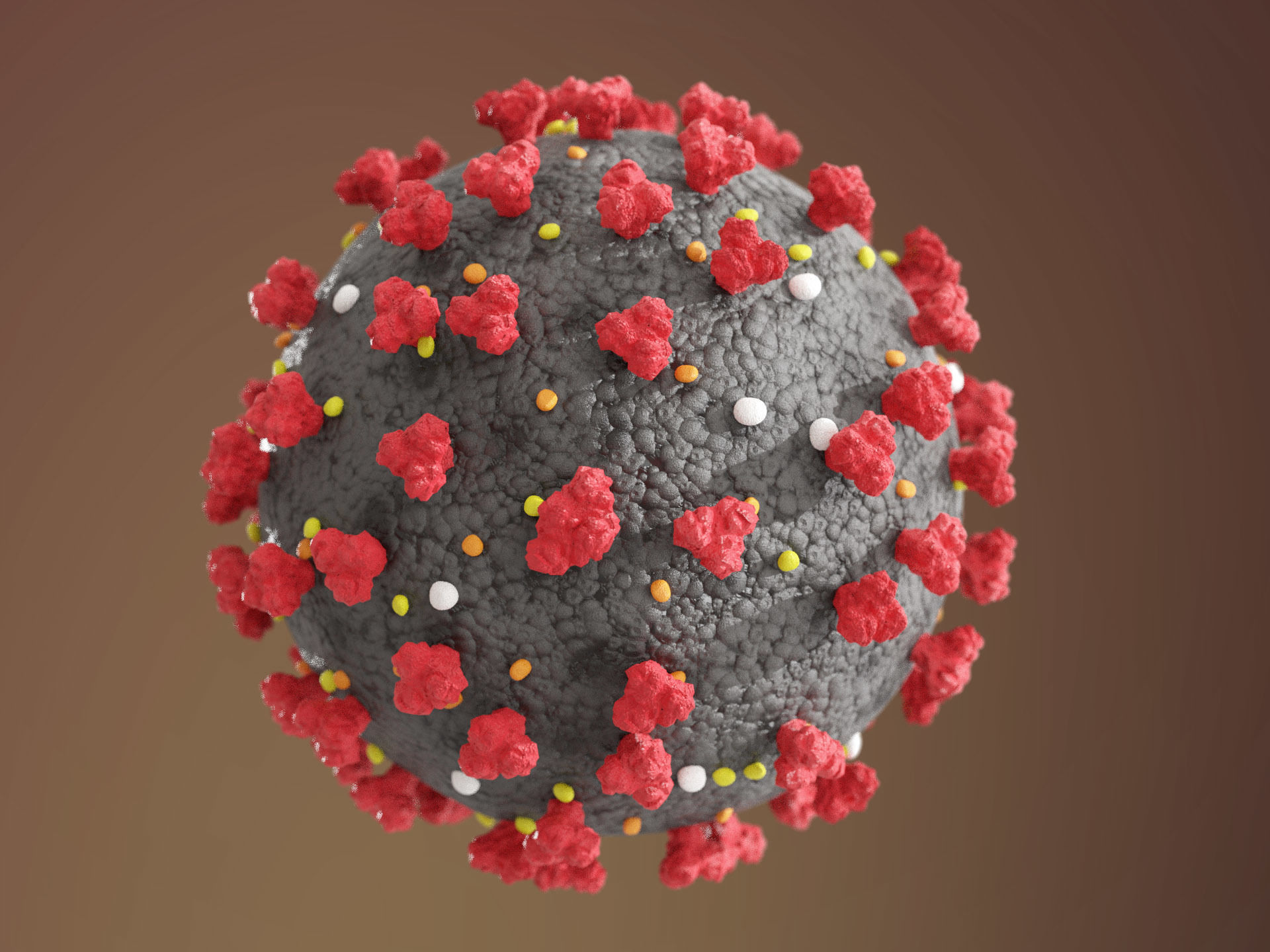 Corona virus