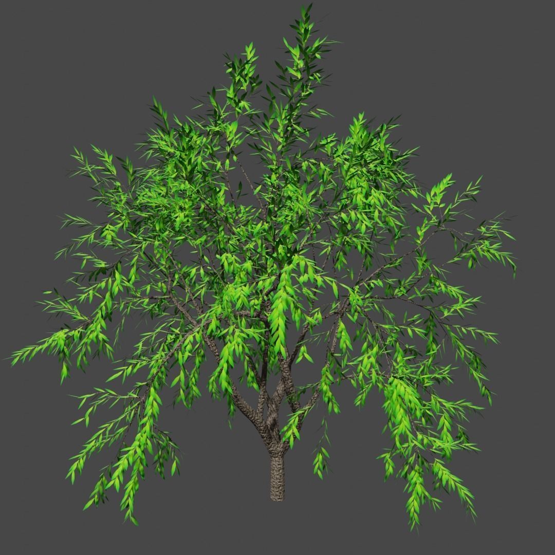 Sampling tree 11 Low-poly 3D model