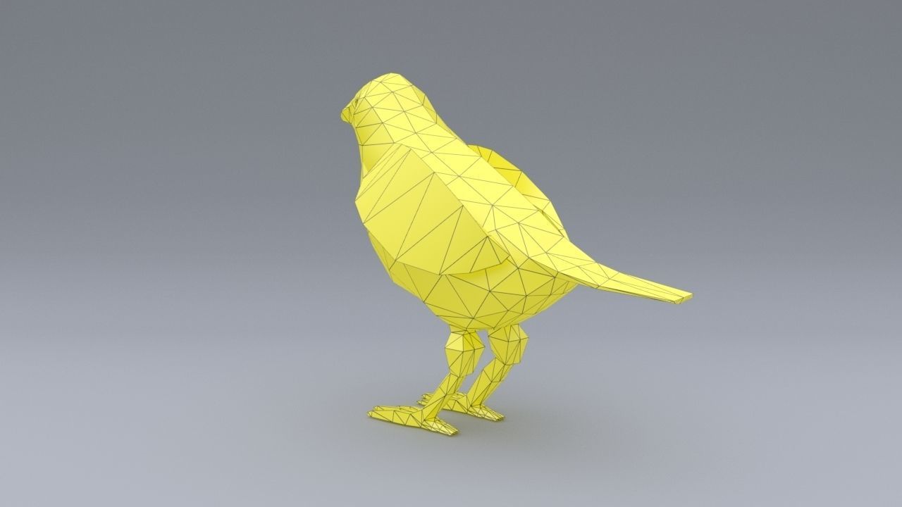 3D model Canary VR / AR / low-poly | CGTrader