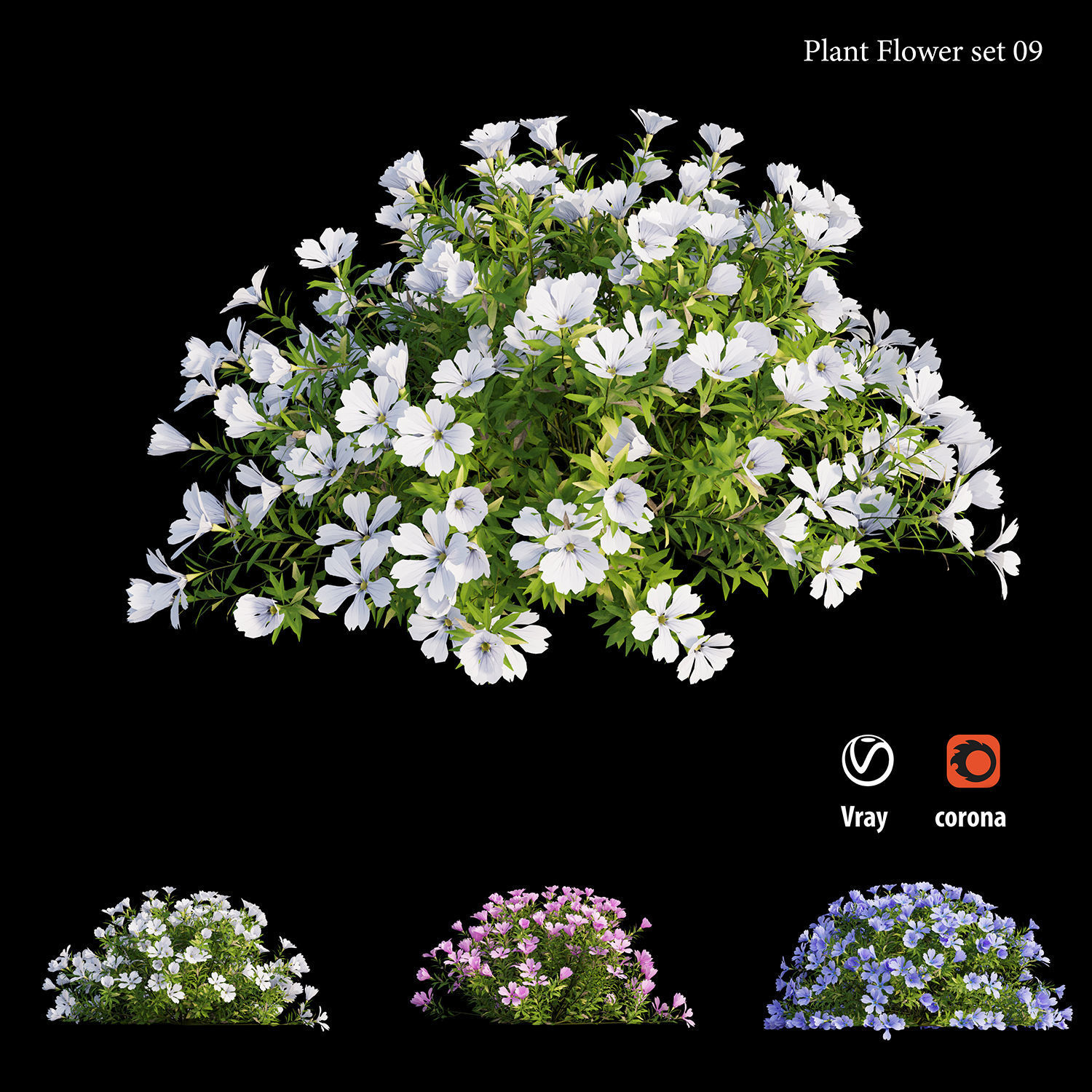 Plant Flower set 09