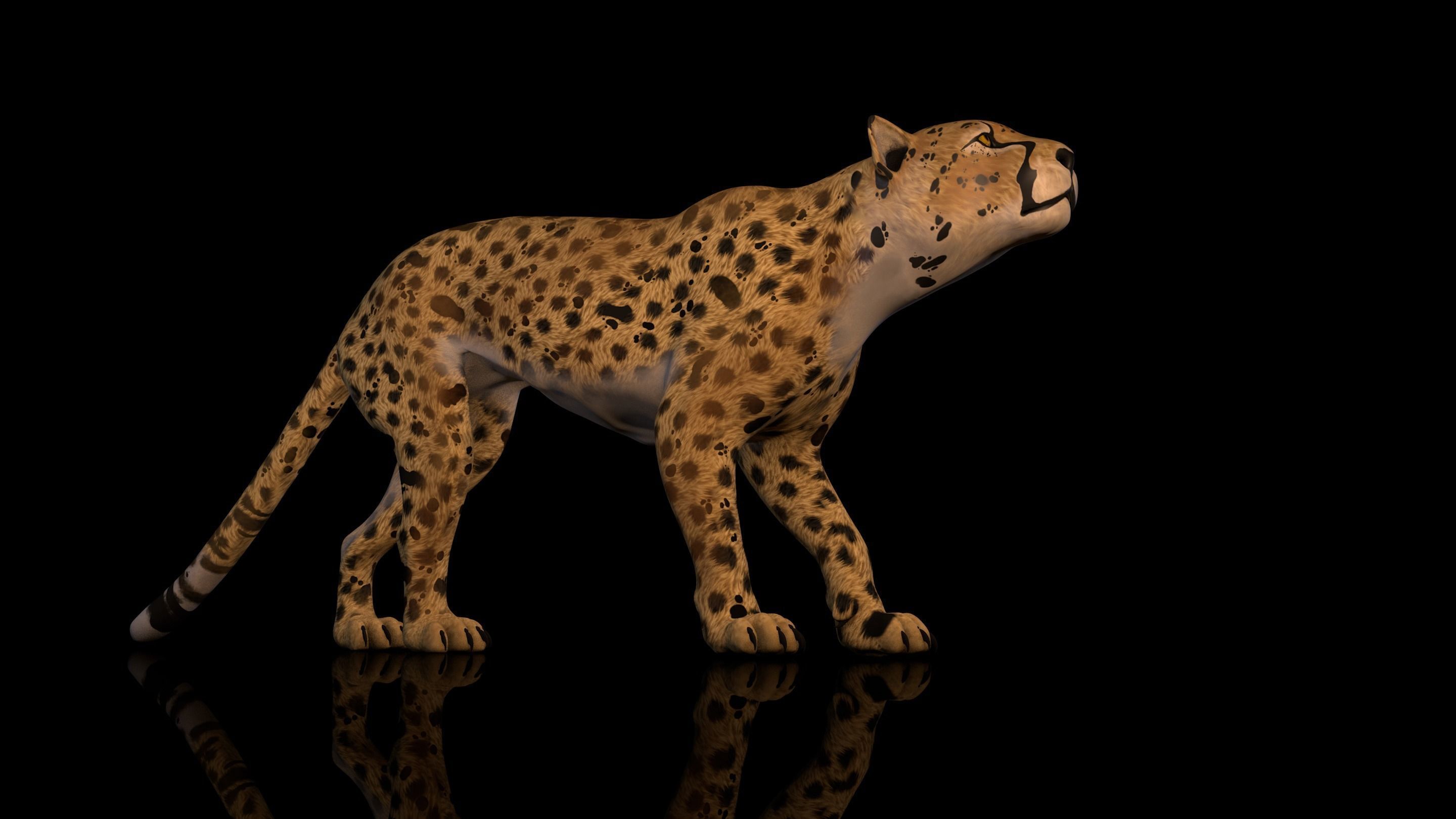 Cheetah 3D model High Detailed Rigged and Textures 3D model