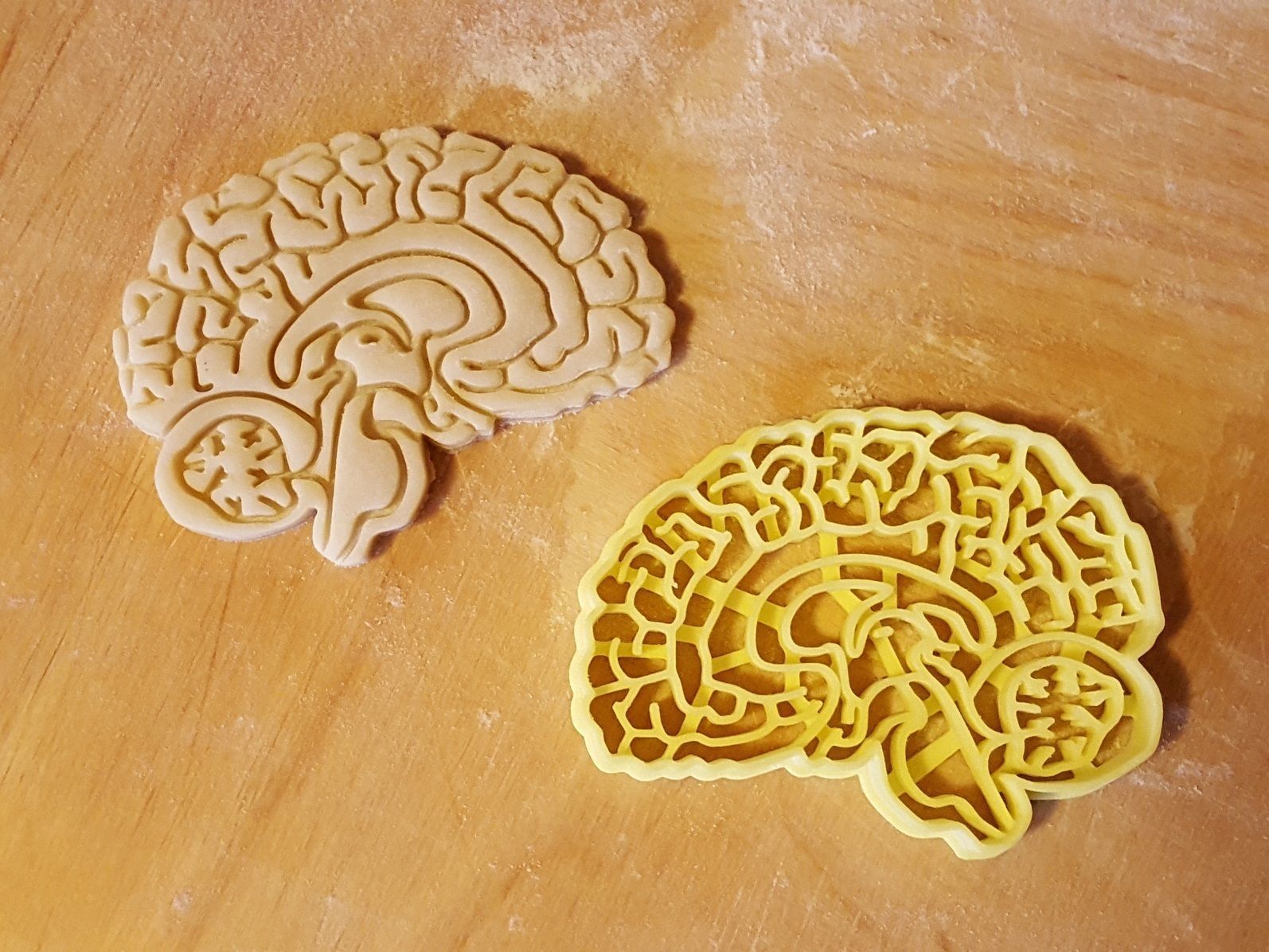 Brain cookie cutter