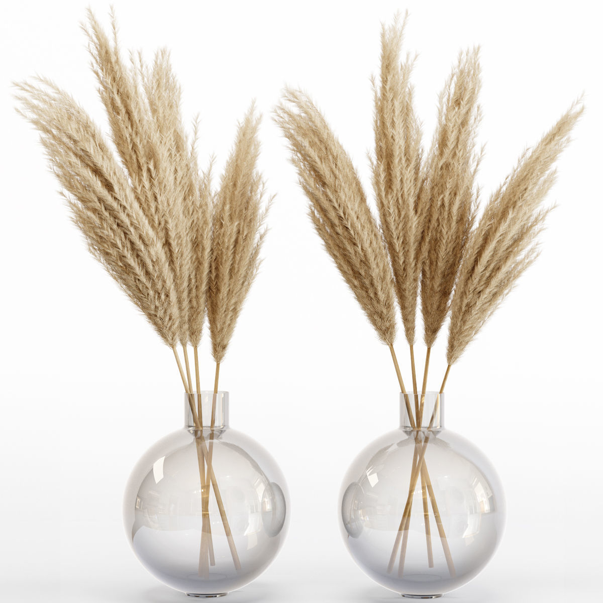 Big dried flower pampas grass in glass vase 6 3D model CGTrader