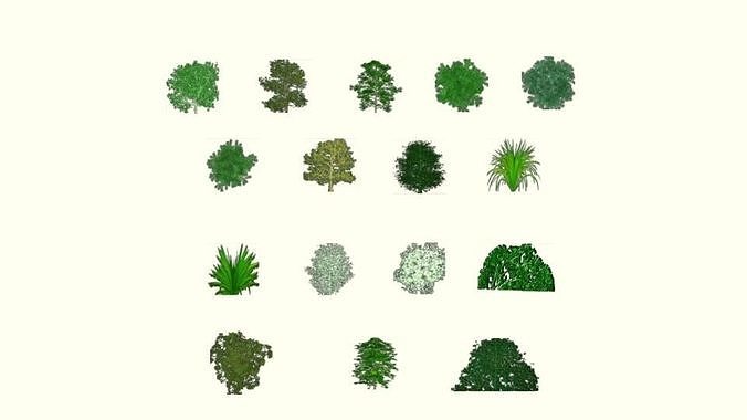 Texture Low poly tree cypress VR / AR / low-poly | CGTrader