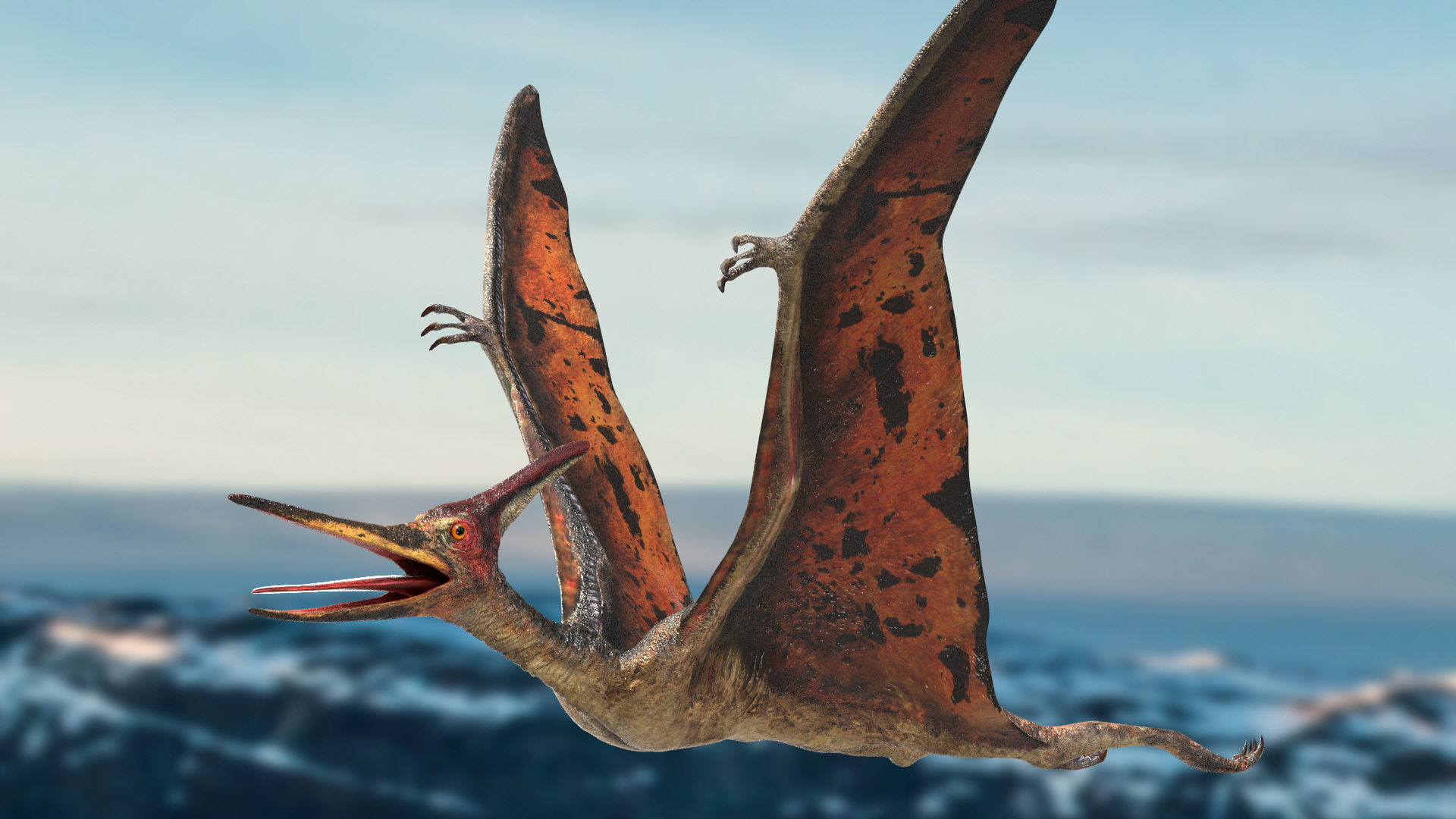 Pteranodon Rigged Animated 3D model