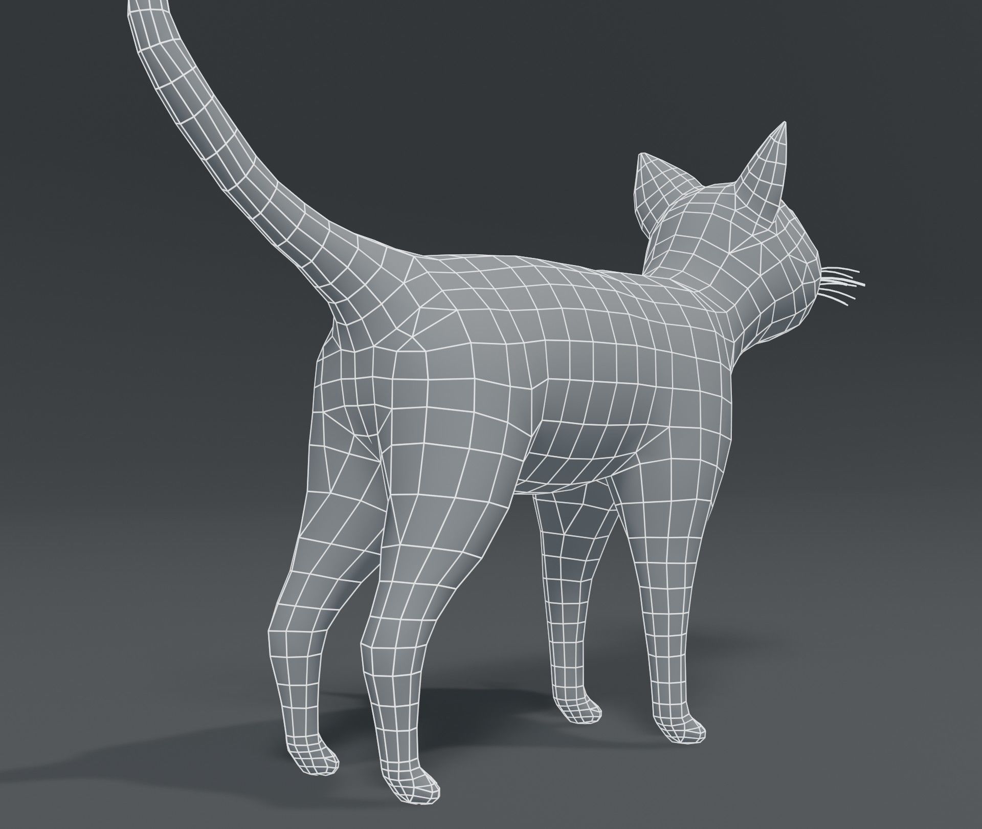 3D model Cartoon Cat Base Mesh 3D Model VR / AR / low-poly | CGTrader