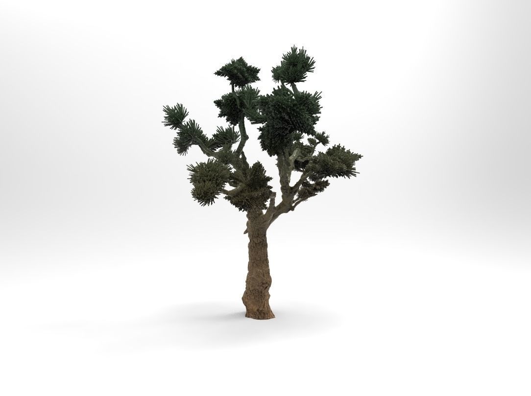 Pine Tree free 3D model 3D printable | CGTrader