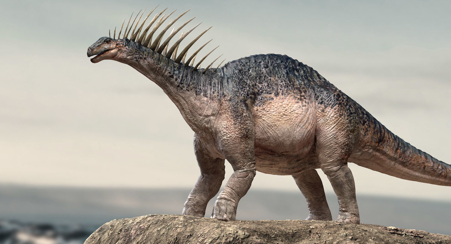 Amargasaurus 3D Rigged model