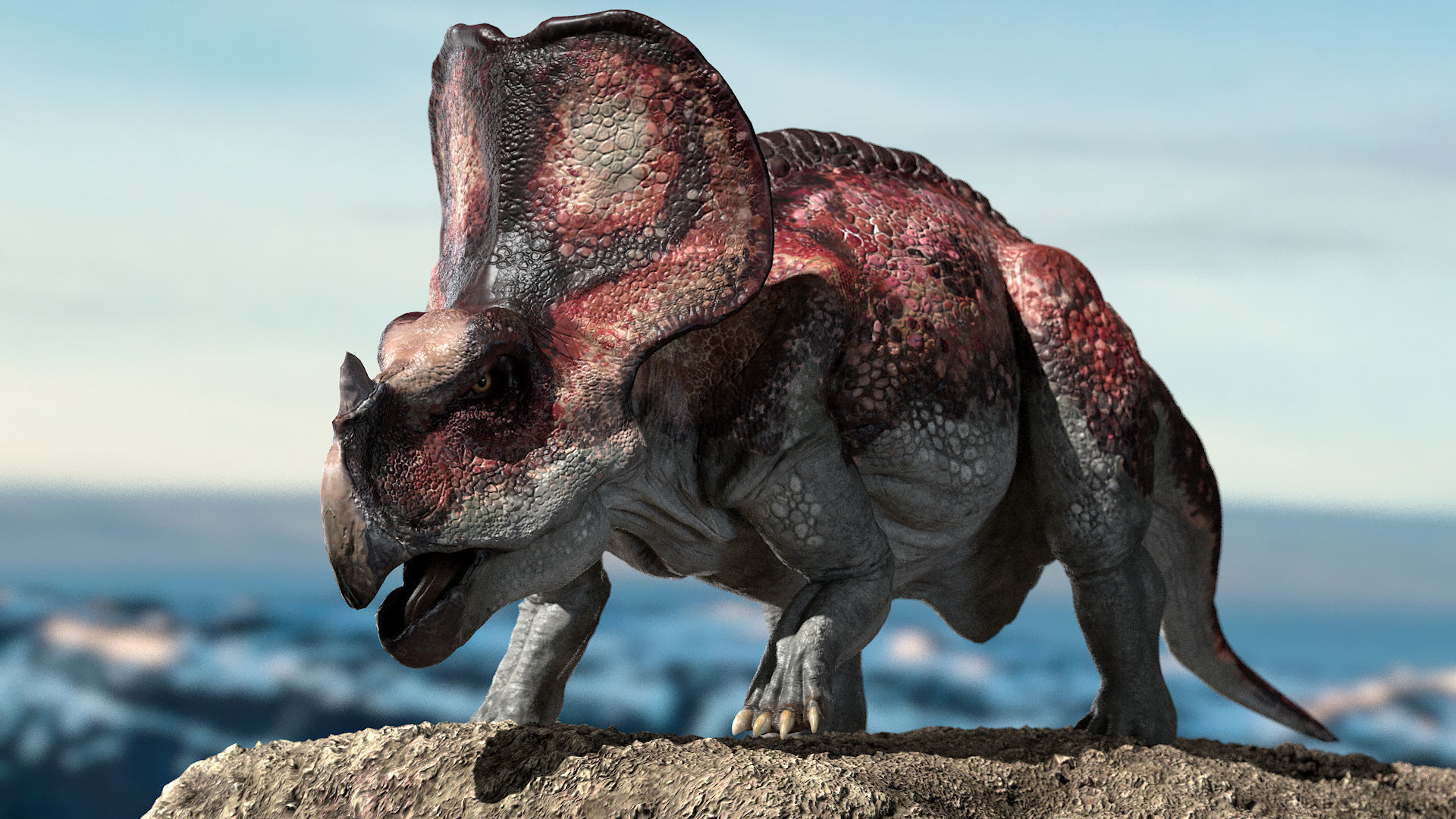 model Protoceratops 3D Rigged
