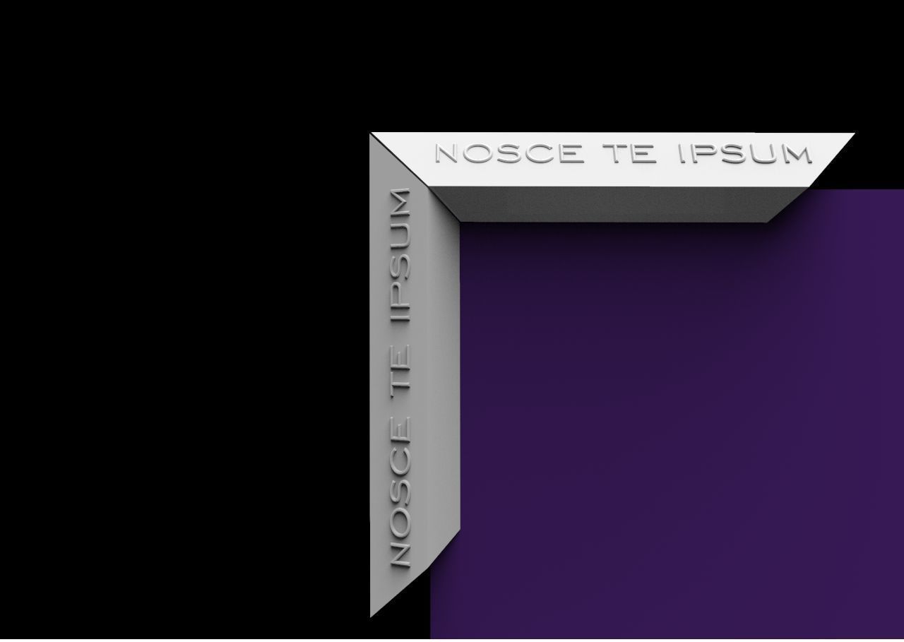 Mirror frame with inscription NOSCE TE IPSUM