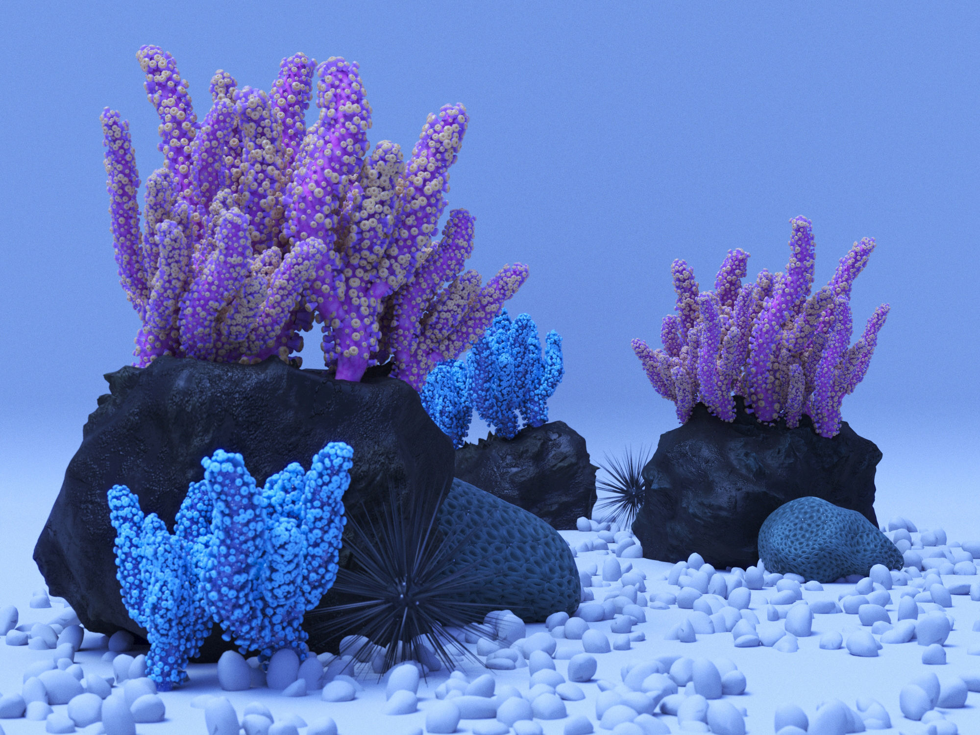 Coral reef animals 3D model | CGTrader