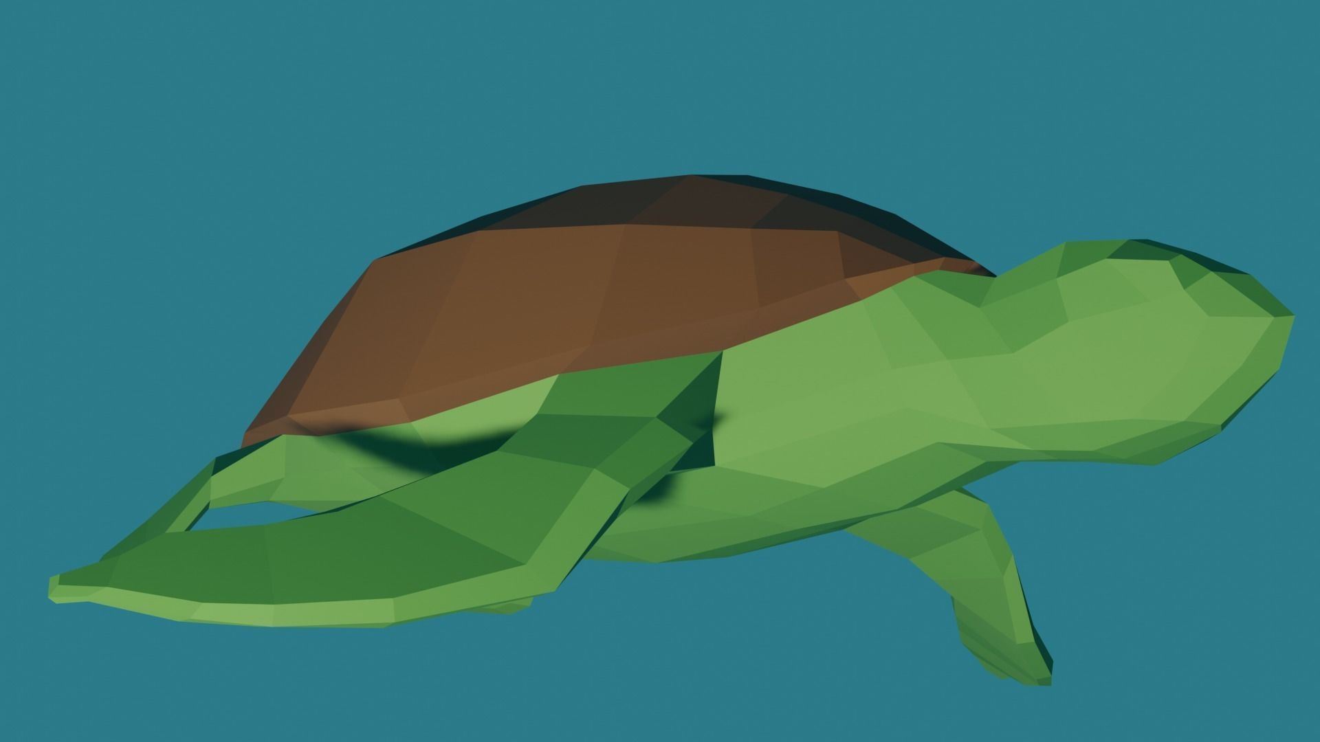 Turtle free VR / AR / lowpoly 3D model animated rigged CGTrader
