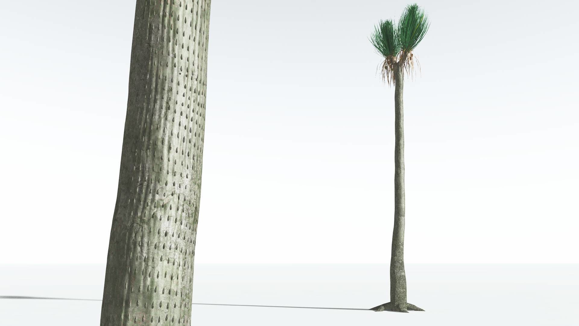 EVERYPlant Ovate Sigillaria 04 --18 Models--