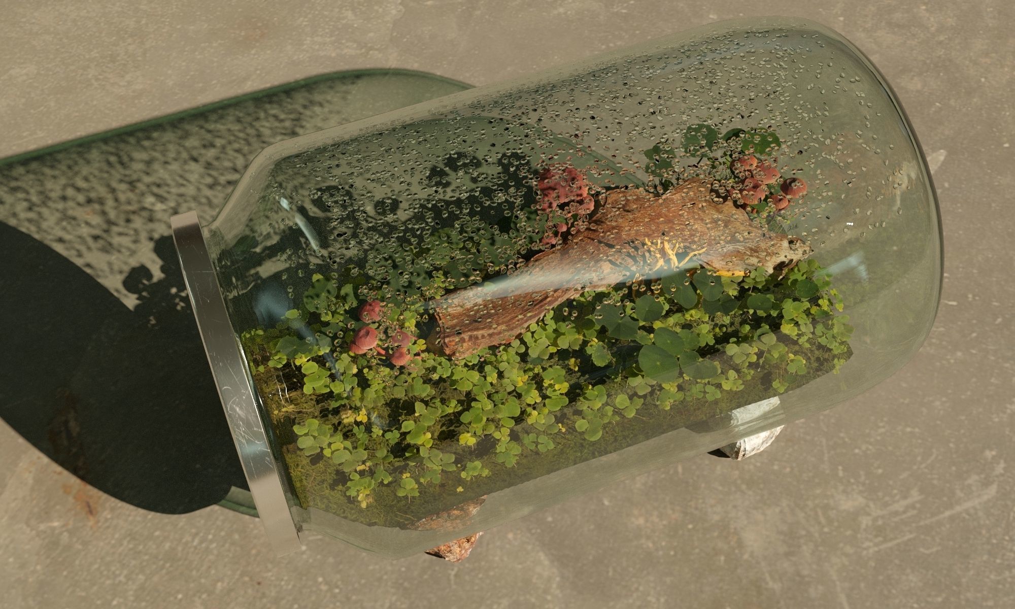 Terrarium in a jar